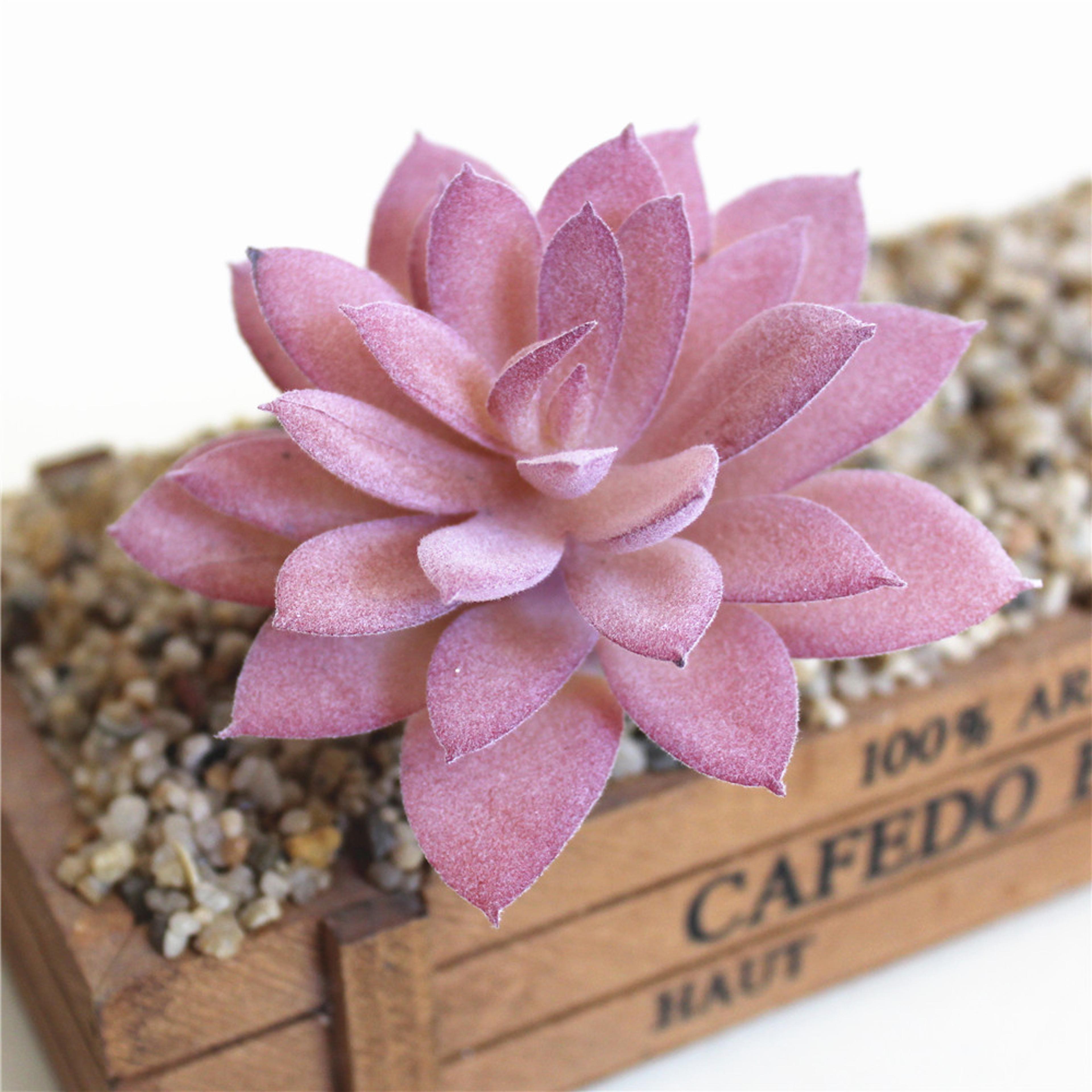 Purple Succulent Plants For Home Bedroom Living Room Bathroom  Holiday Party Bonsai Decor 4