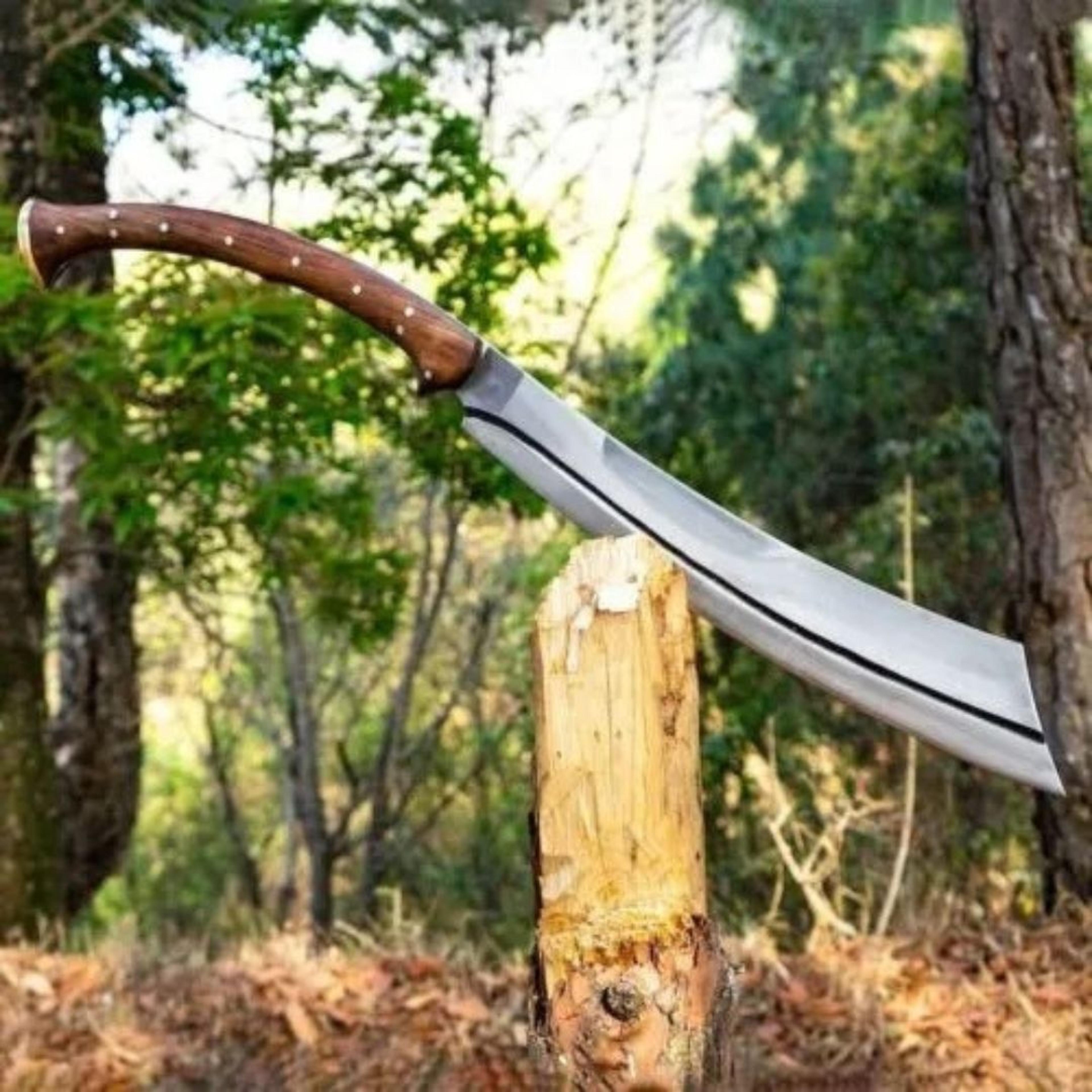 Handmade Carbon Steel Sword Hunting Survival Sword Full Tang Camping Machete Too (5).jpg