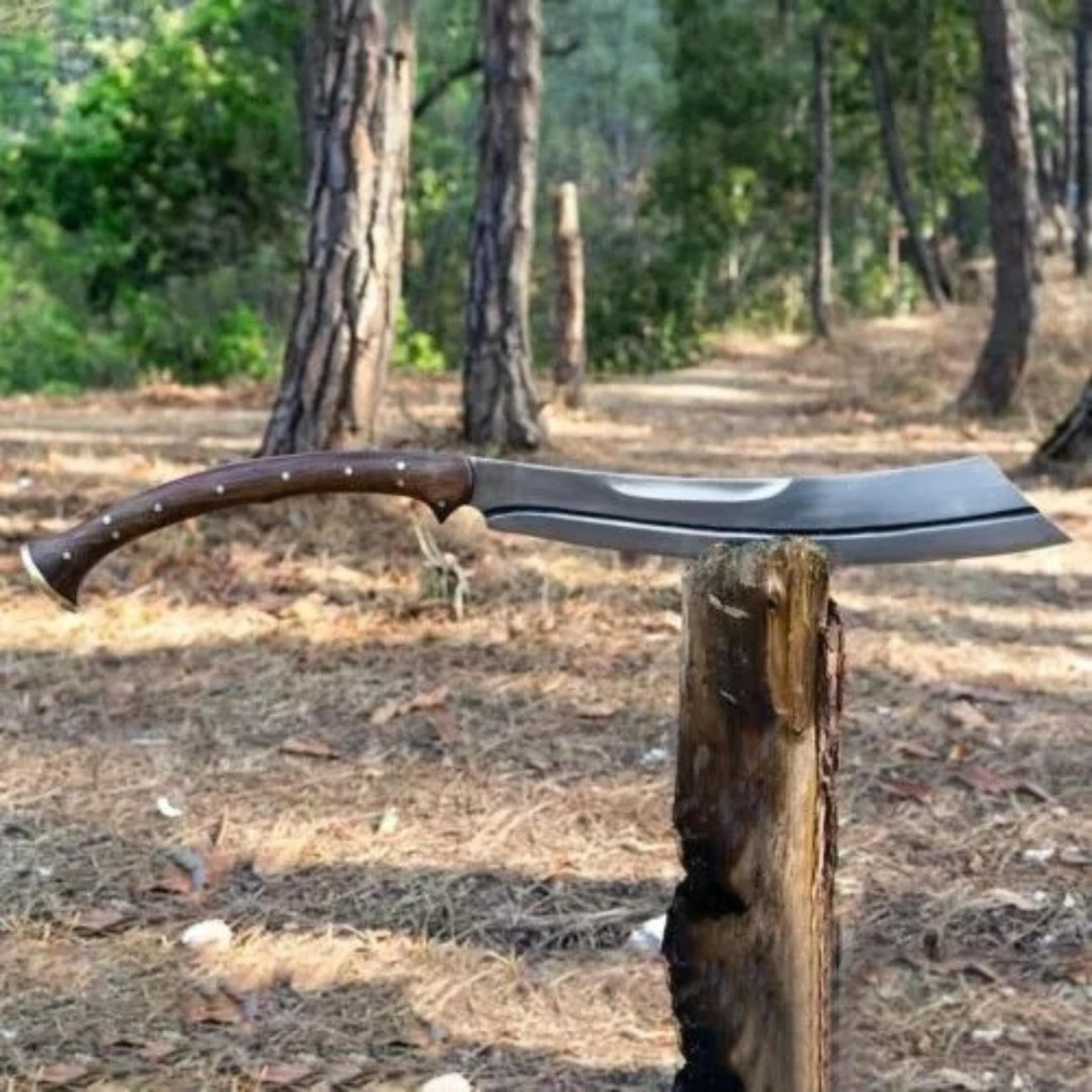 Handmade Carbon Steel Sword Hunting Survival Sword Full Tang Camping Machete Too (8).jpg