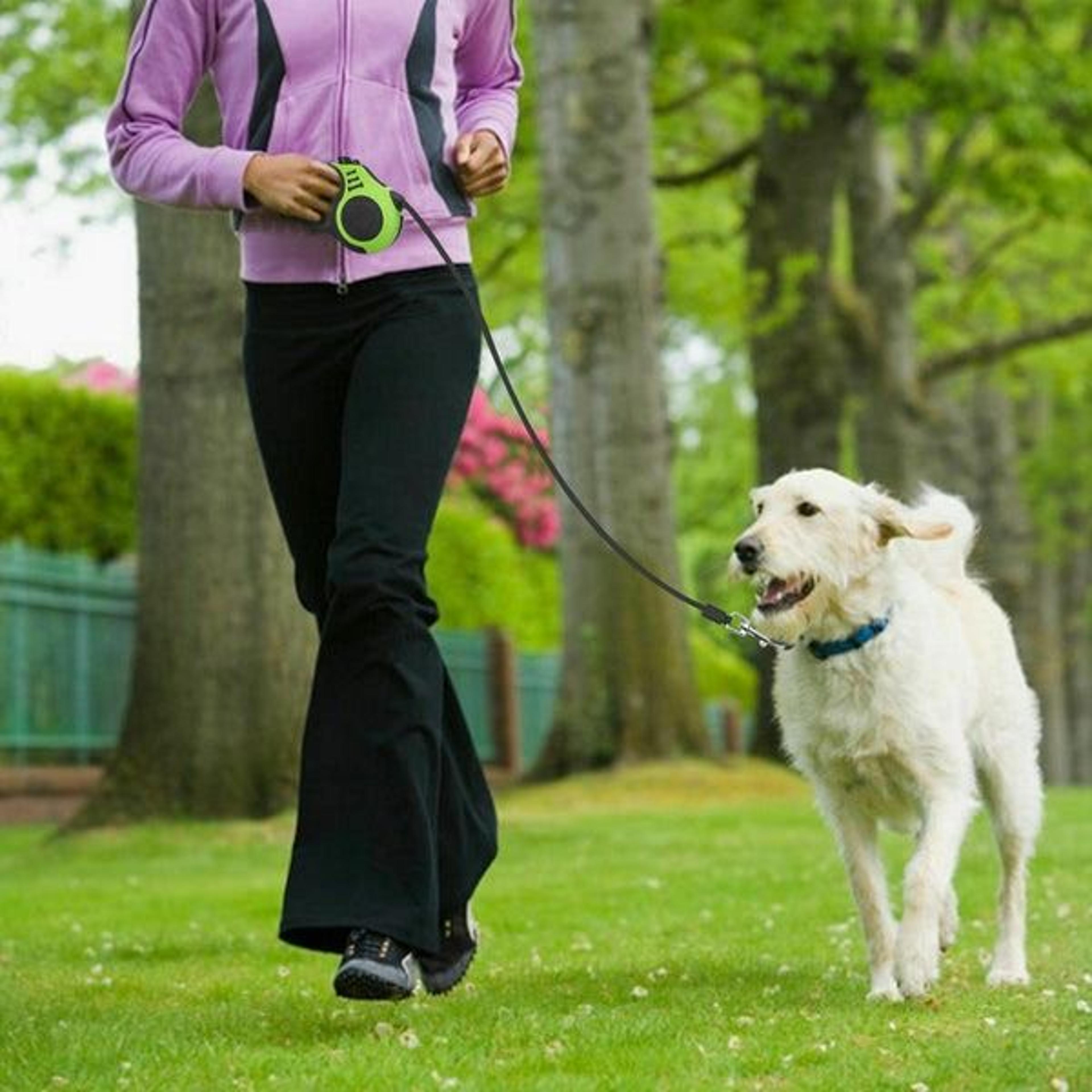 automatic retractable dog leash, walking lead with comfortable grip, brake & lock system, eco-friendly, durable pet
