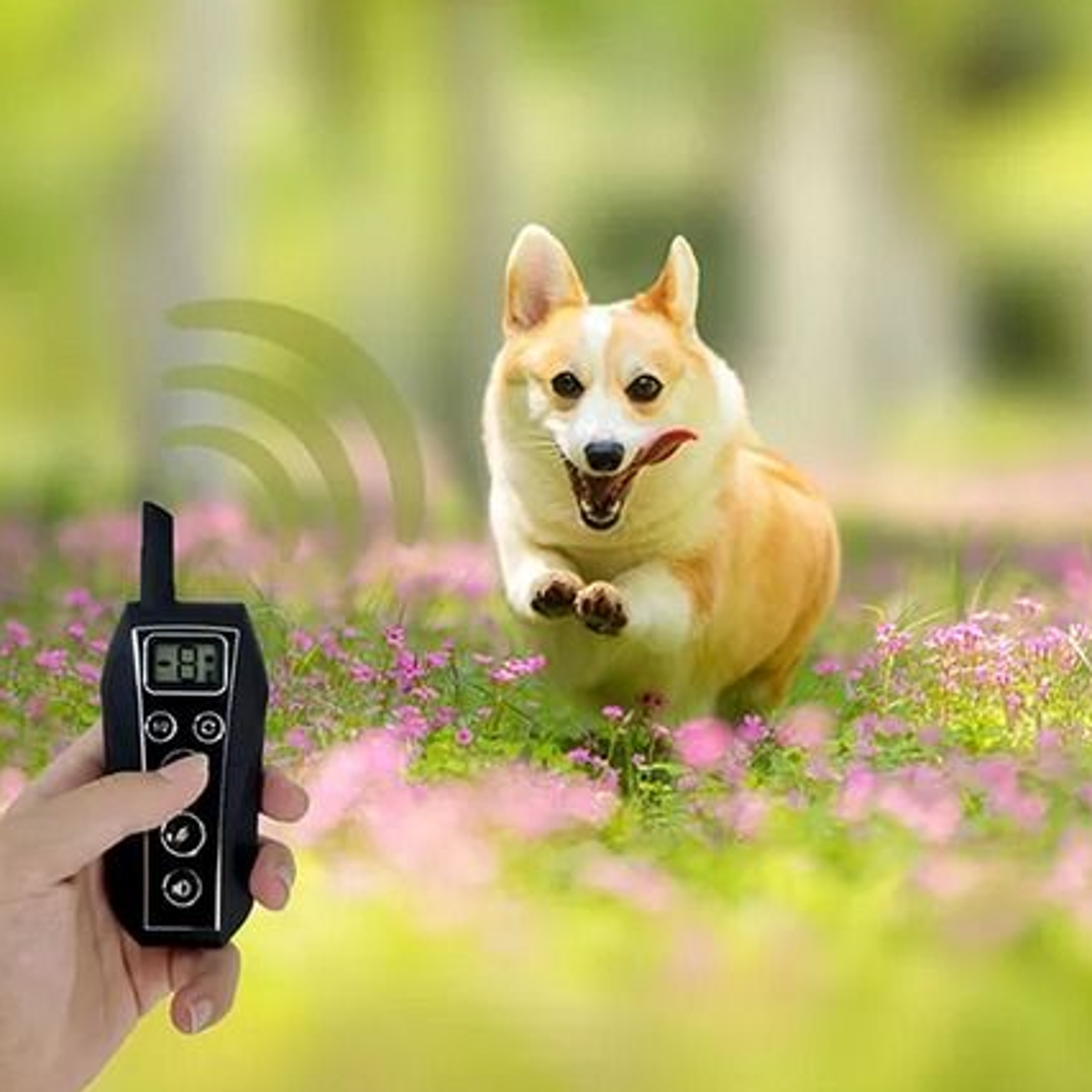 remote dog training shock collar waterproof for small, medium, large dogs, long standby, vibration, tone modes