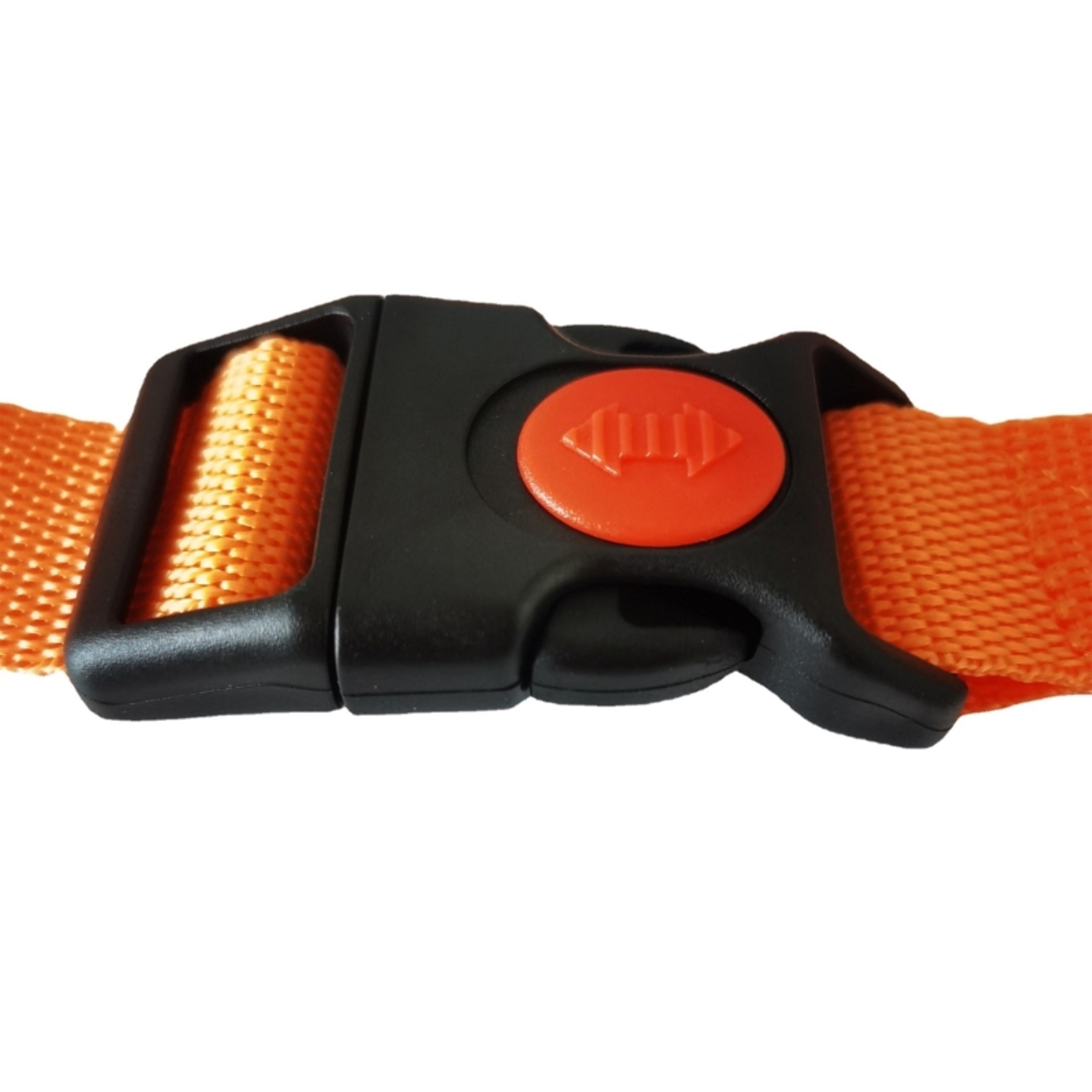 Adjustable Swim Training Belt With Swim Tether For Stationary Pool Workouts 1