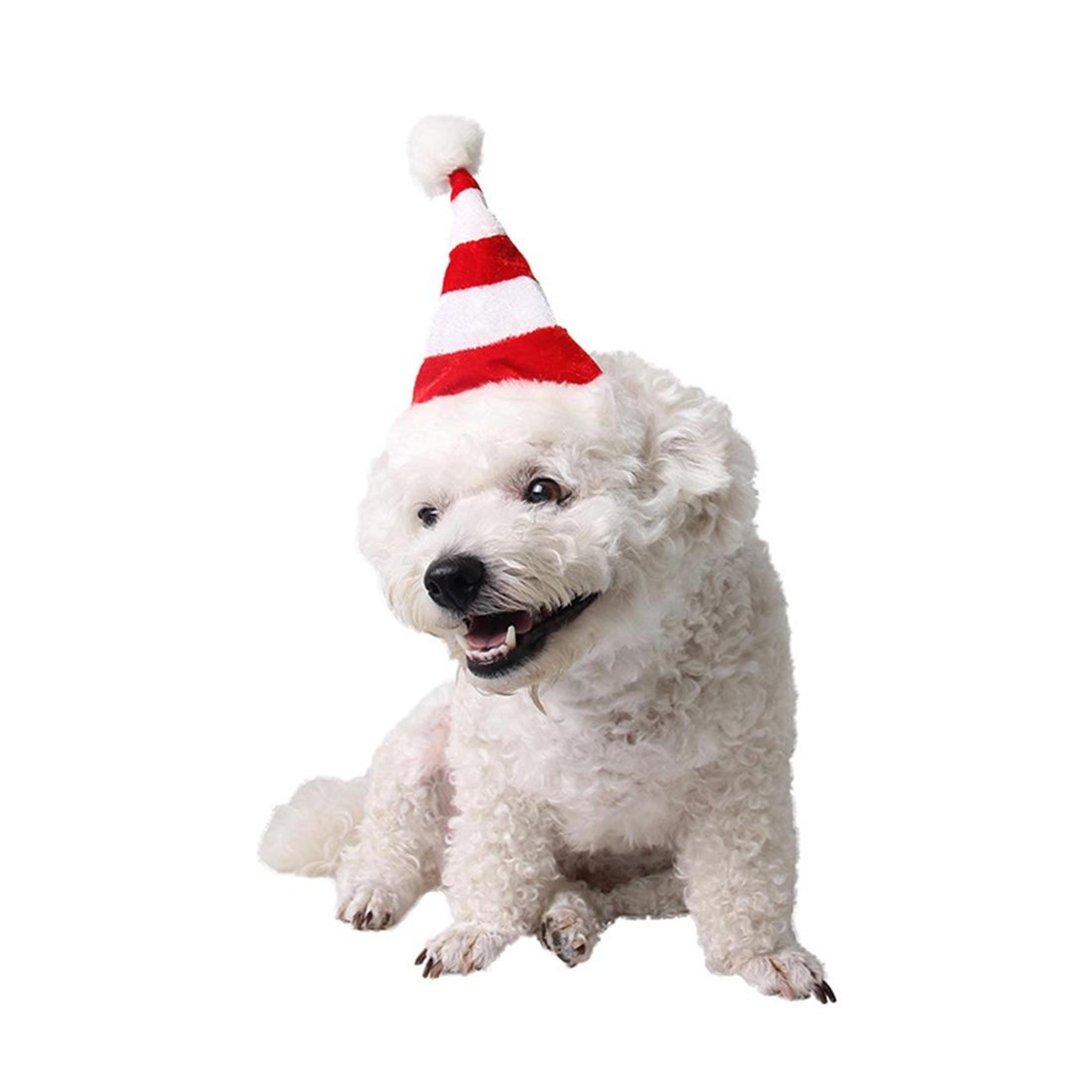 western christmas hat for dogs in red and white stripes