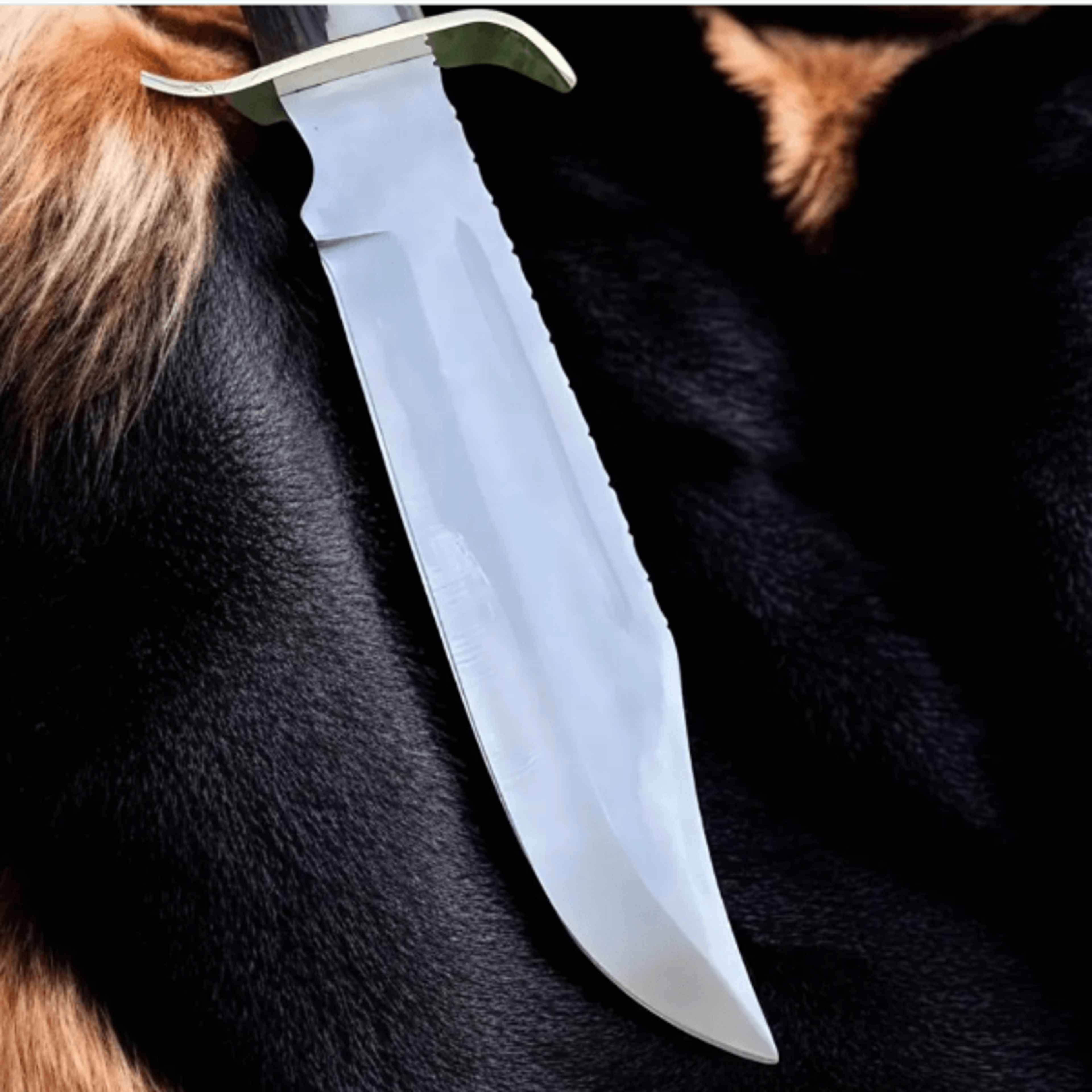 Buy Hand Forged 14 Inch D2 Steel Bowie Knife
