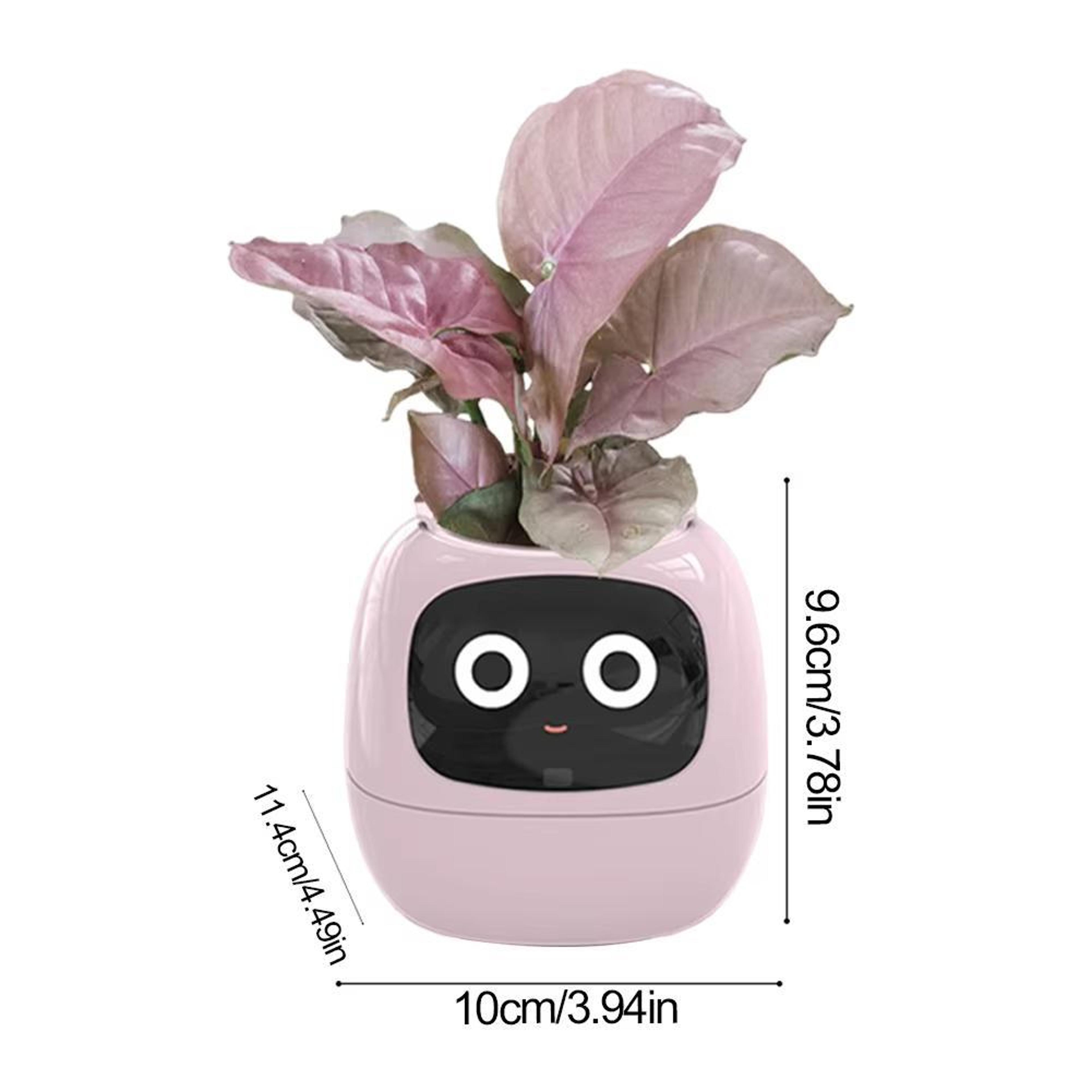Smart WiFi Plant Pot With Multi Sensor Monitor  Screen Compatible 4