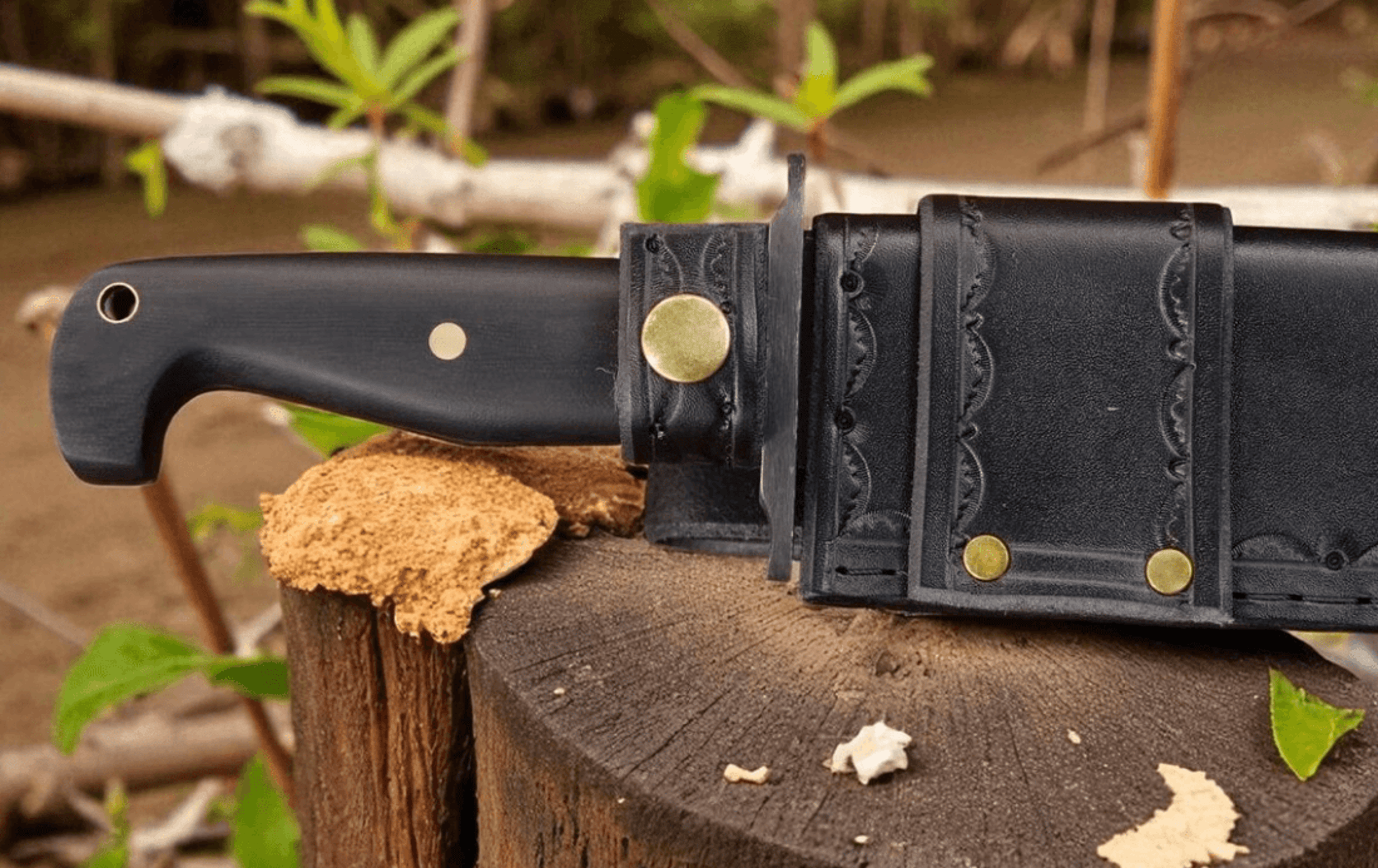 Buy Now Tercio Raider 10 Inch Full Tang Bowie Knife