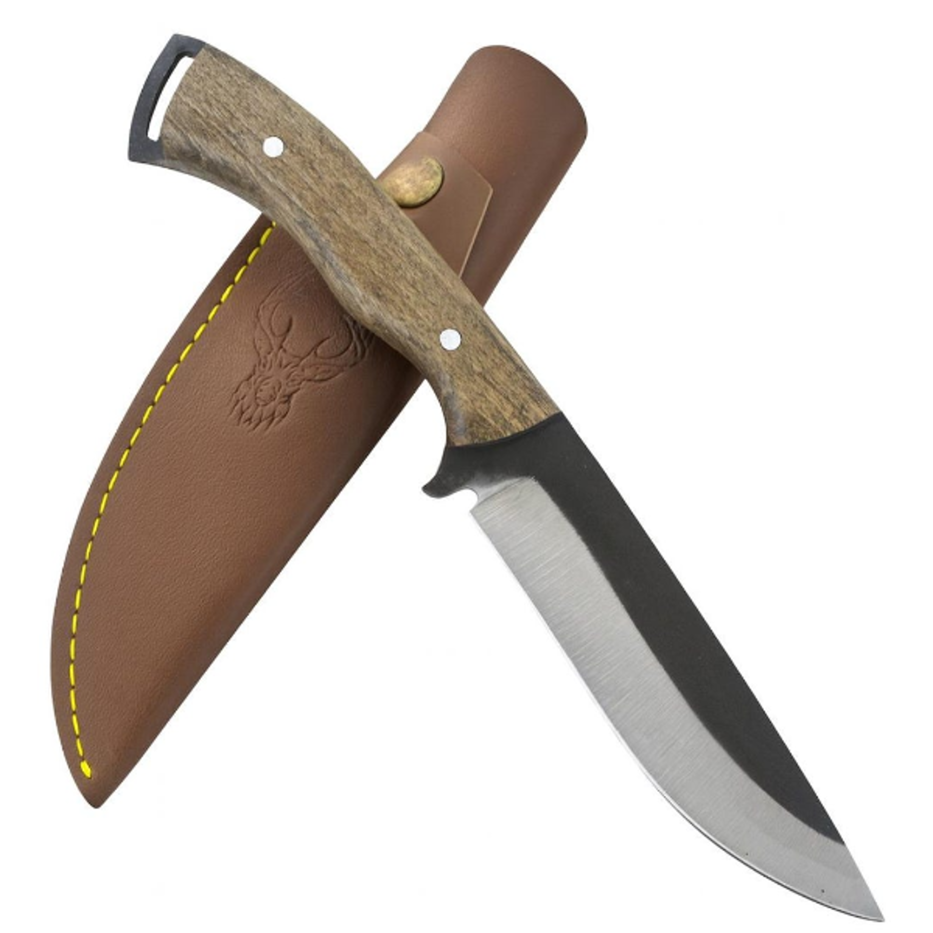 high-quality outdoor & hunting knife - 4116 stainless steel & walnut wood handle