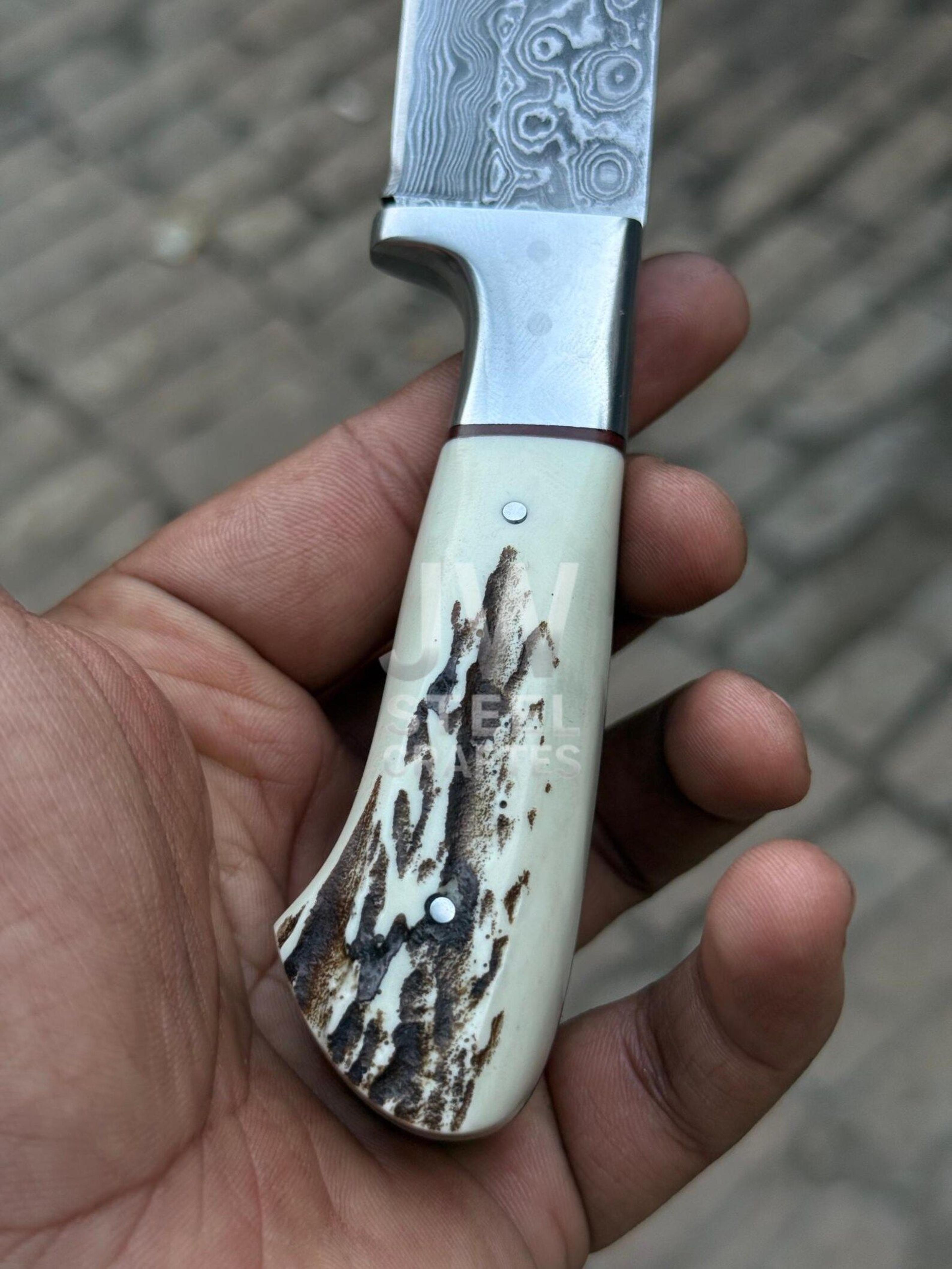 Handmade Damascus Steel Skinner Knife With Exotic Antler  Hardwood Handle Unique Leather Sheat 5