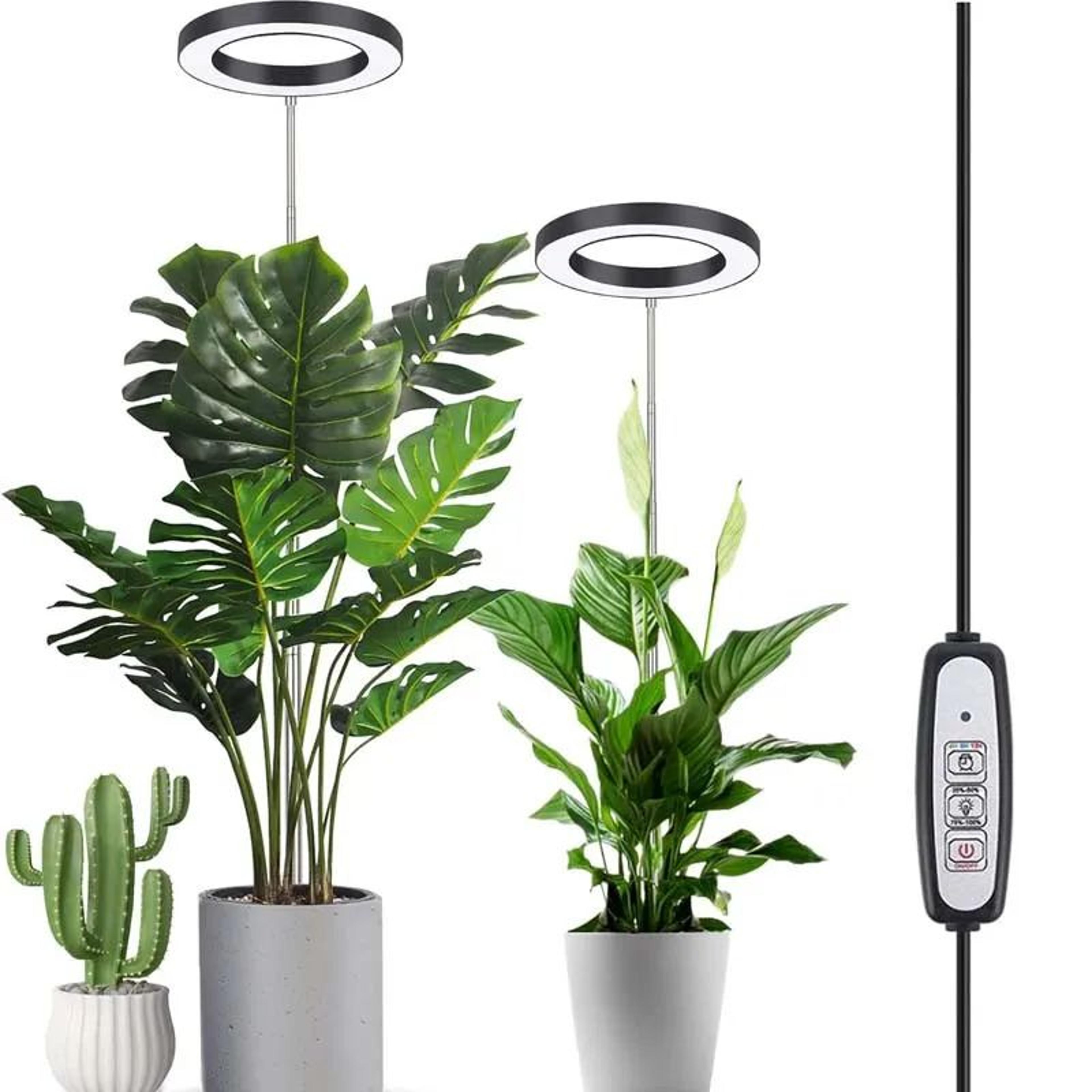 plant grow light led growing lamp, full spectrum, height adjustable, auto timer, indoor plant light solution