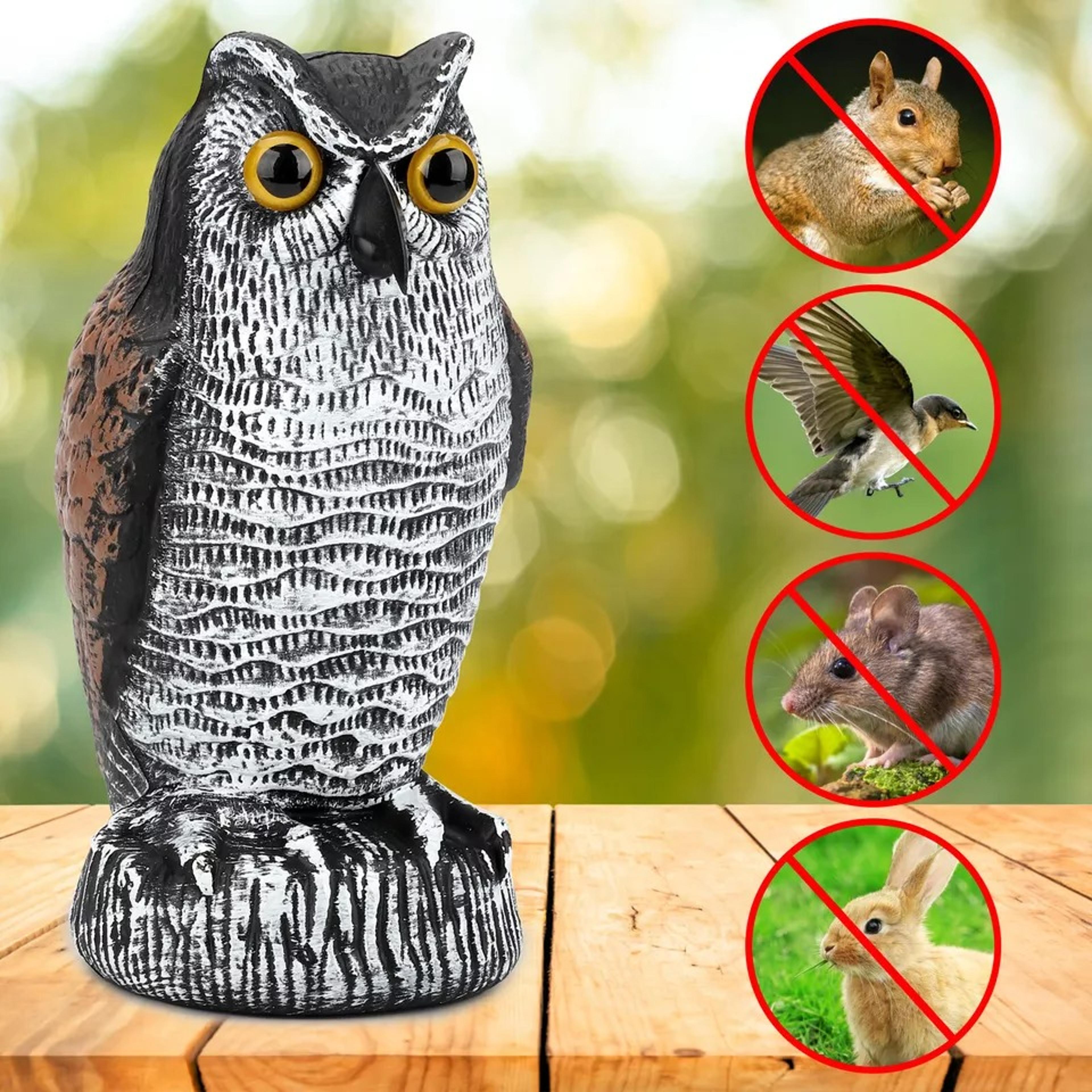 owl decoy statue protect garden yard scare birds away pigeon repellent scarecrow