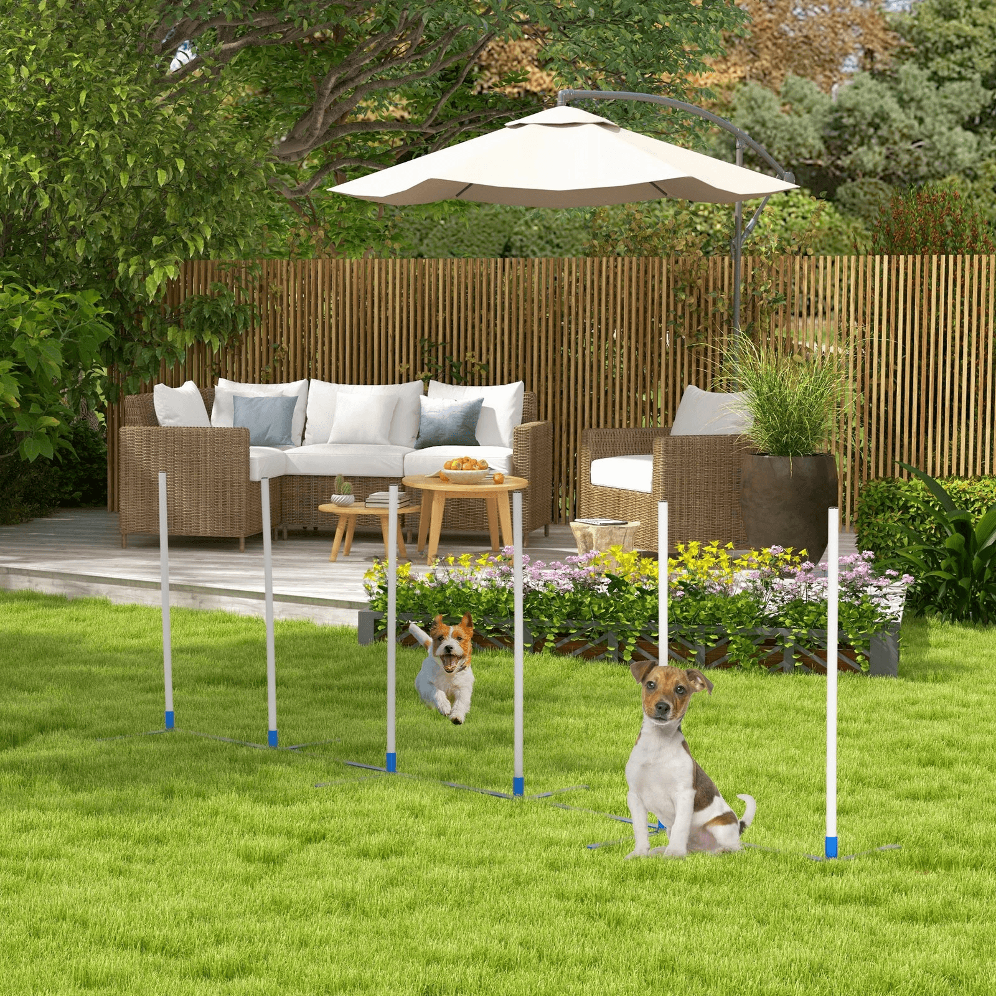 premium dog weave pole set agility starter kit, outdoor pet training & exercise equipment