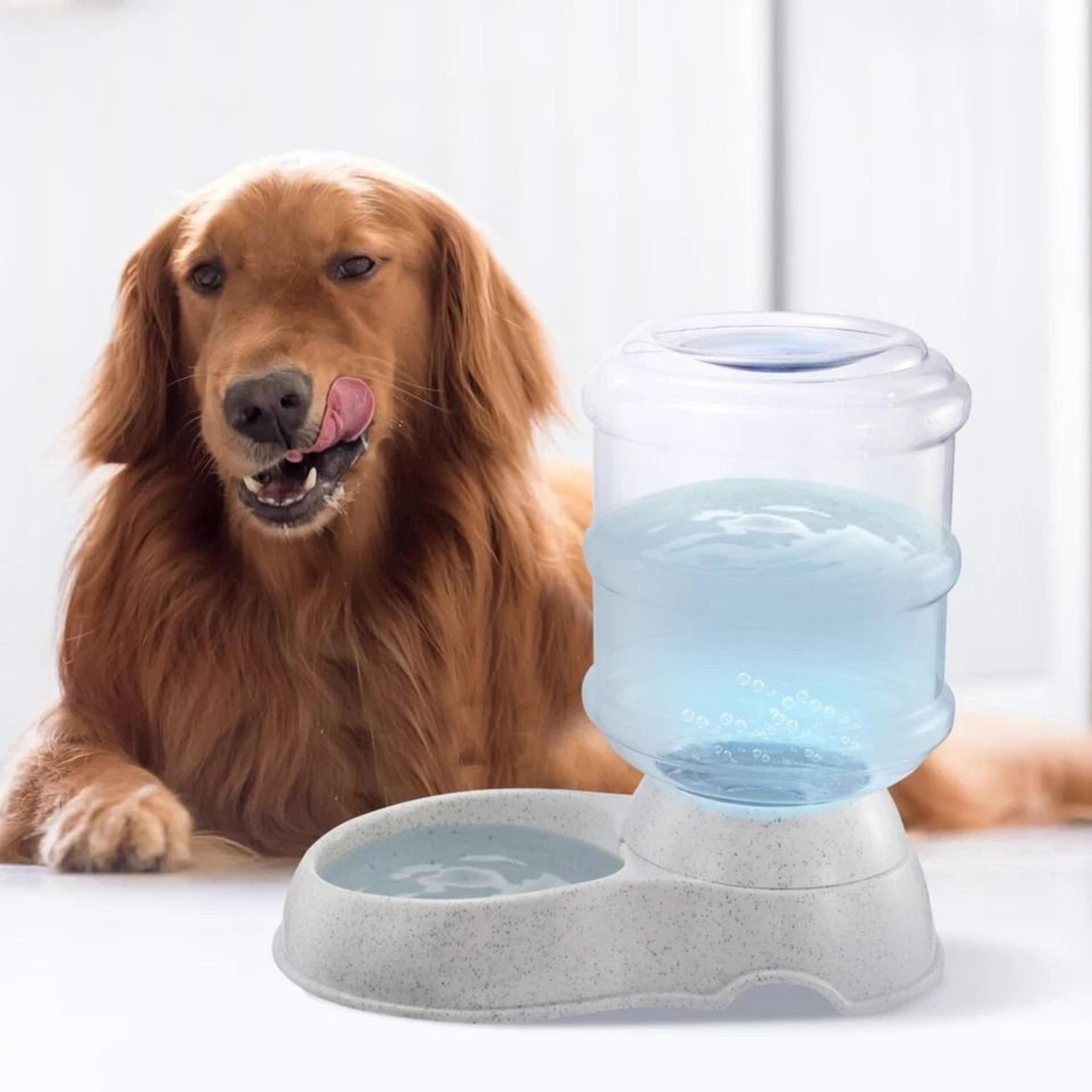 automatic gravity pet water dispenser, waterer feeder for cats and dogs, self-refilling fountain