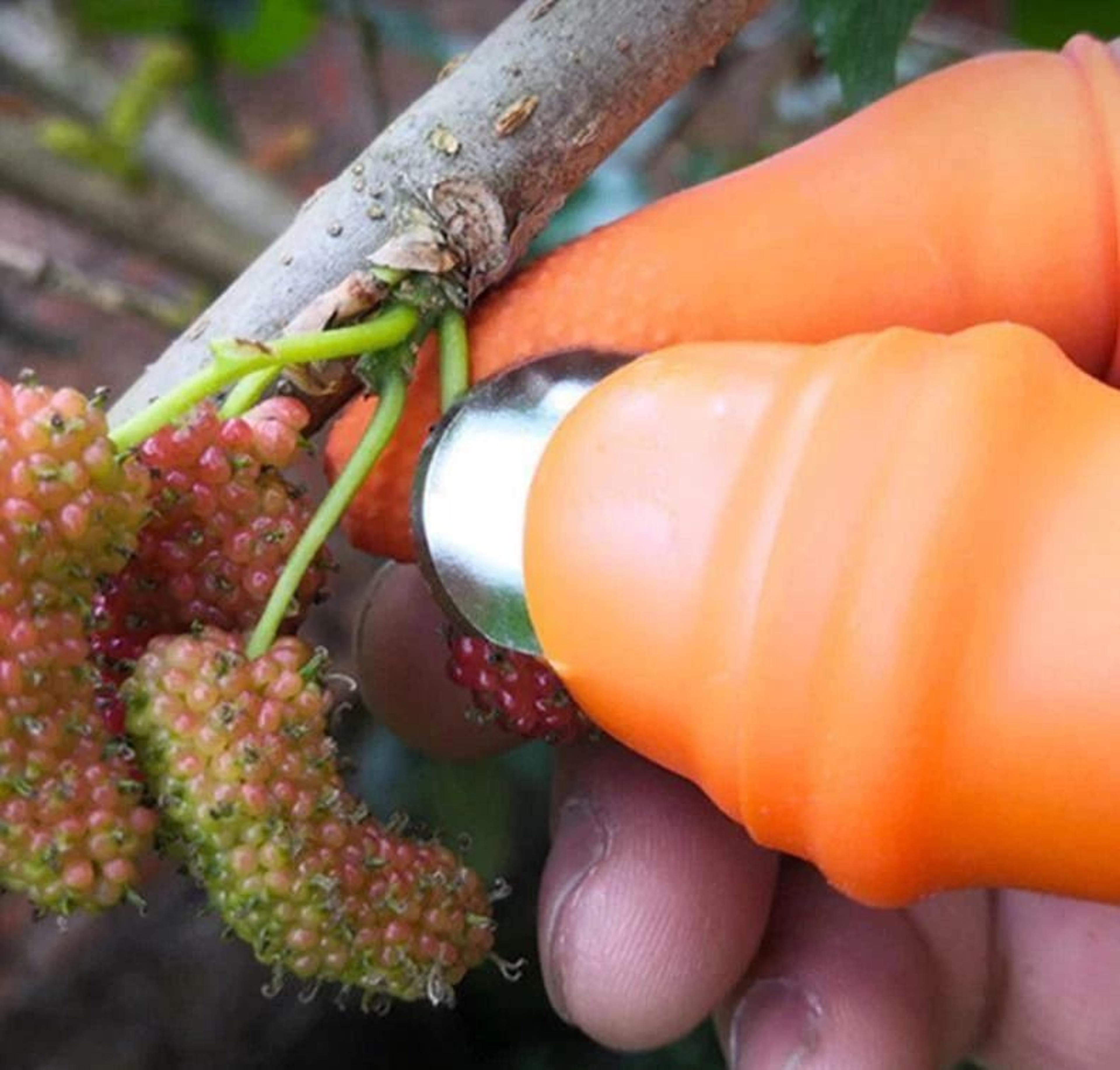 Garden Plucking Device Finger Thumb Knife For Cutting Vegetables And Agricultural Tasks 1