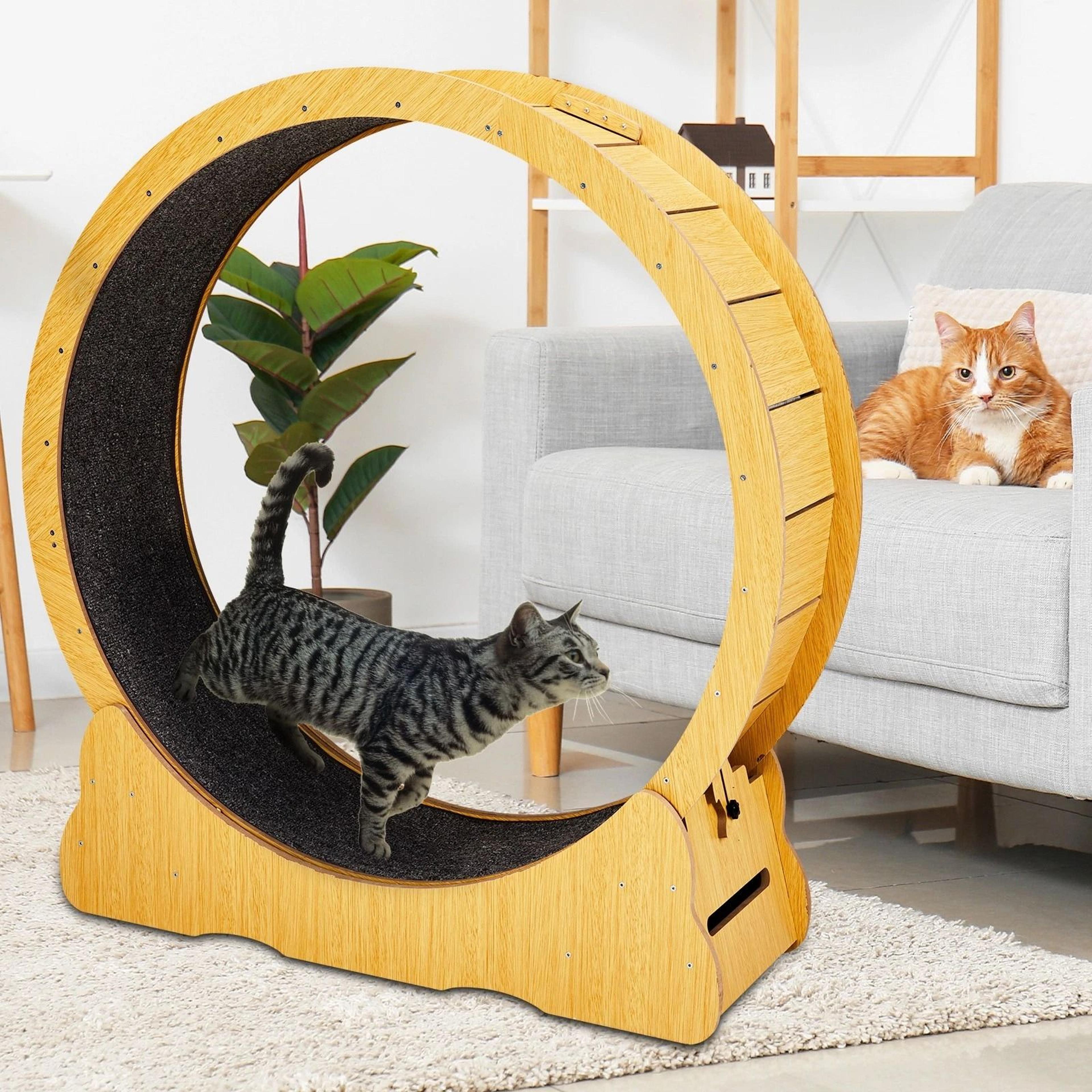 Natural Wood Portable Cat Running Treadmill Indoor Exerciser Wheel Toy For Cats And Kittens 1