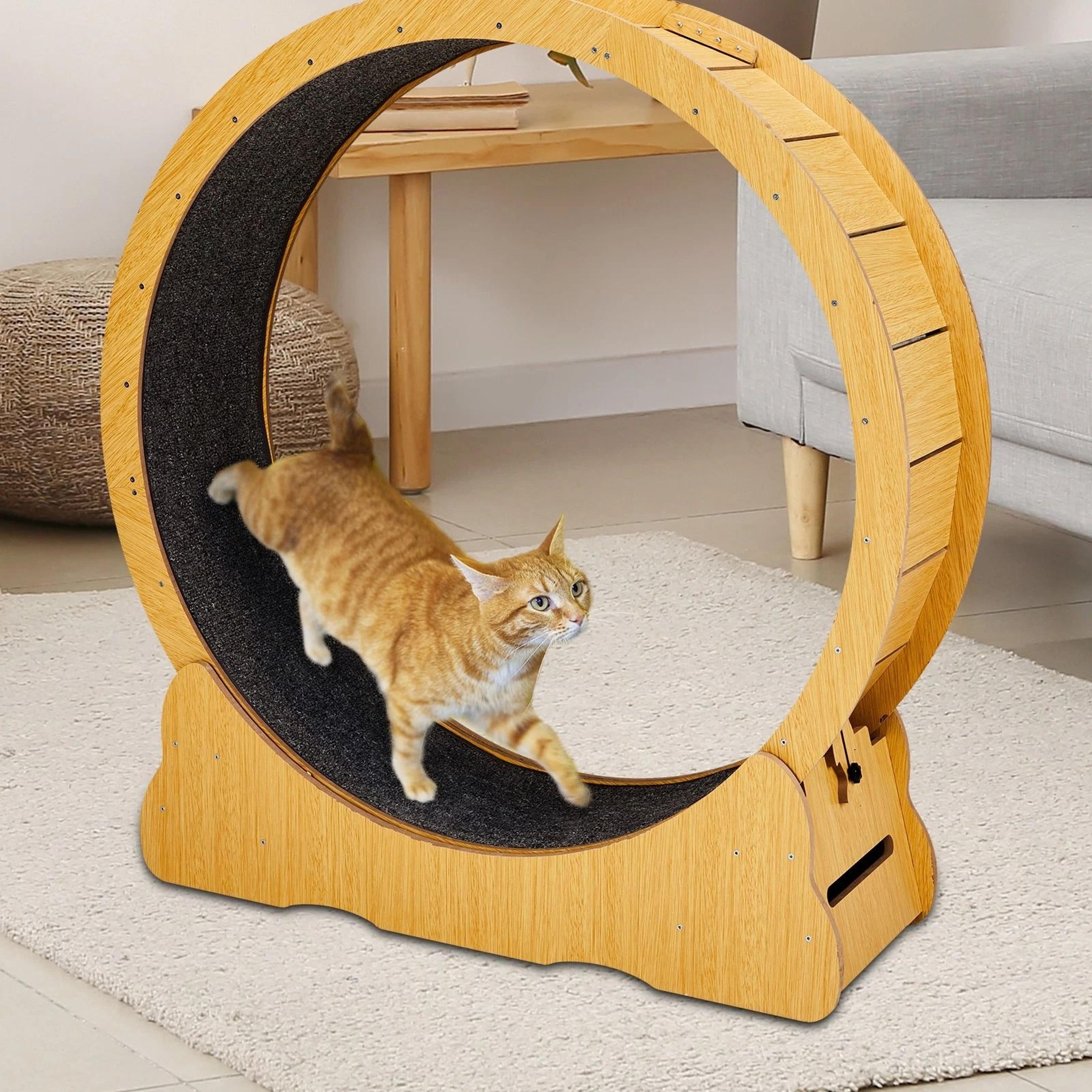 natural wood portable cat running treadmill, indoor exerciser wheel toy for cats and kittens