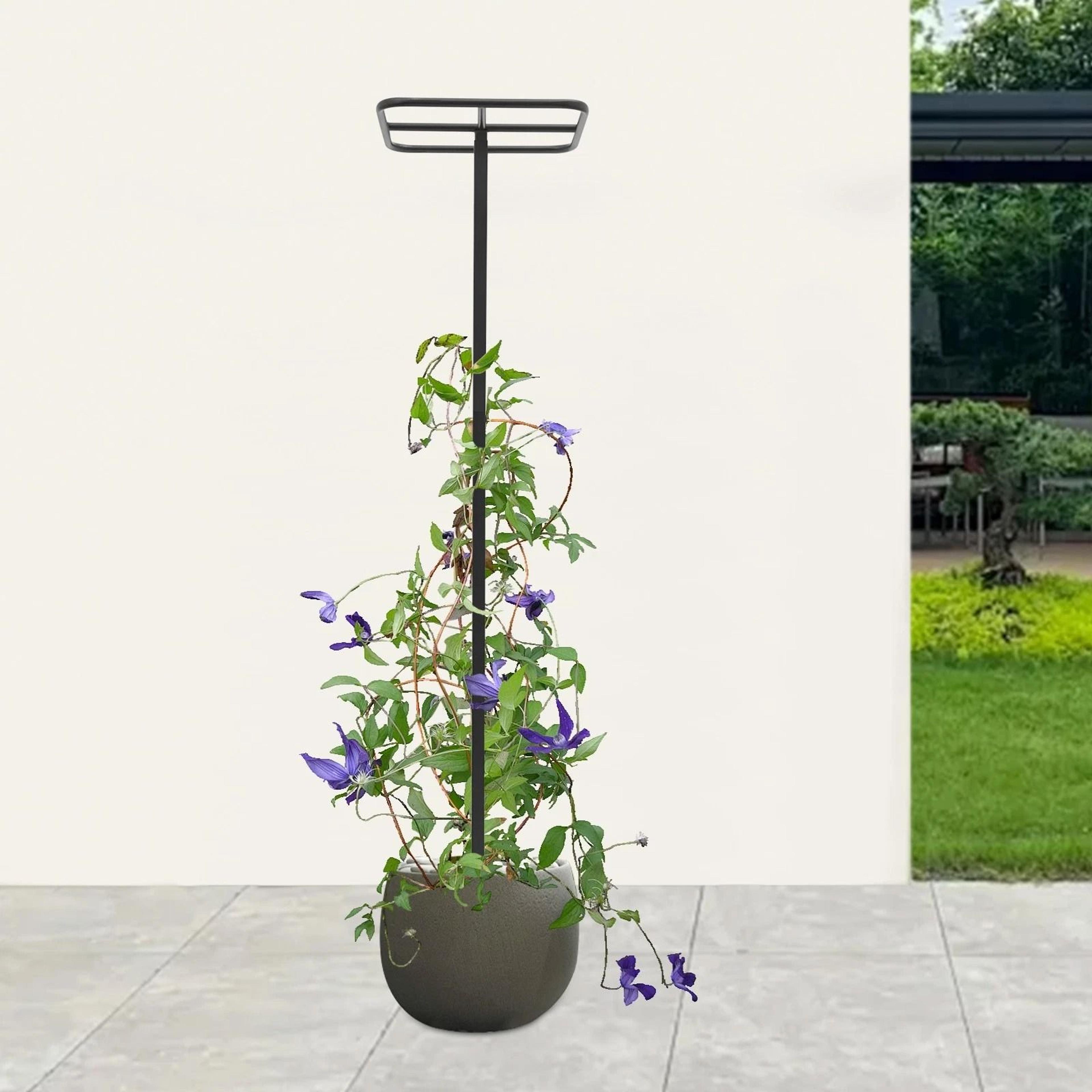 Adjustable Garden Plant Climbing Support Dragon Fruit Plant Trellis For Strong Growth 3
