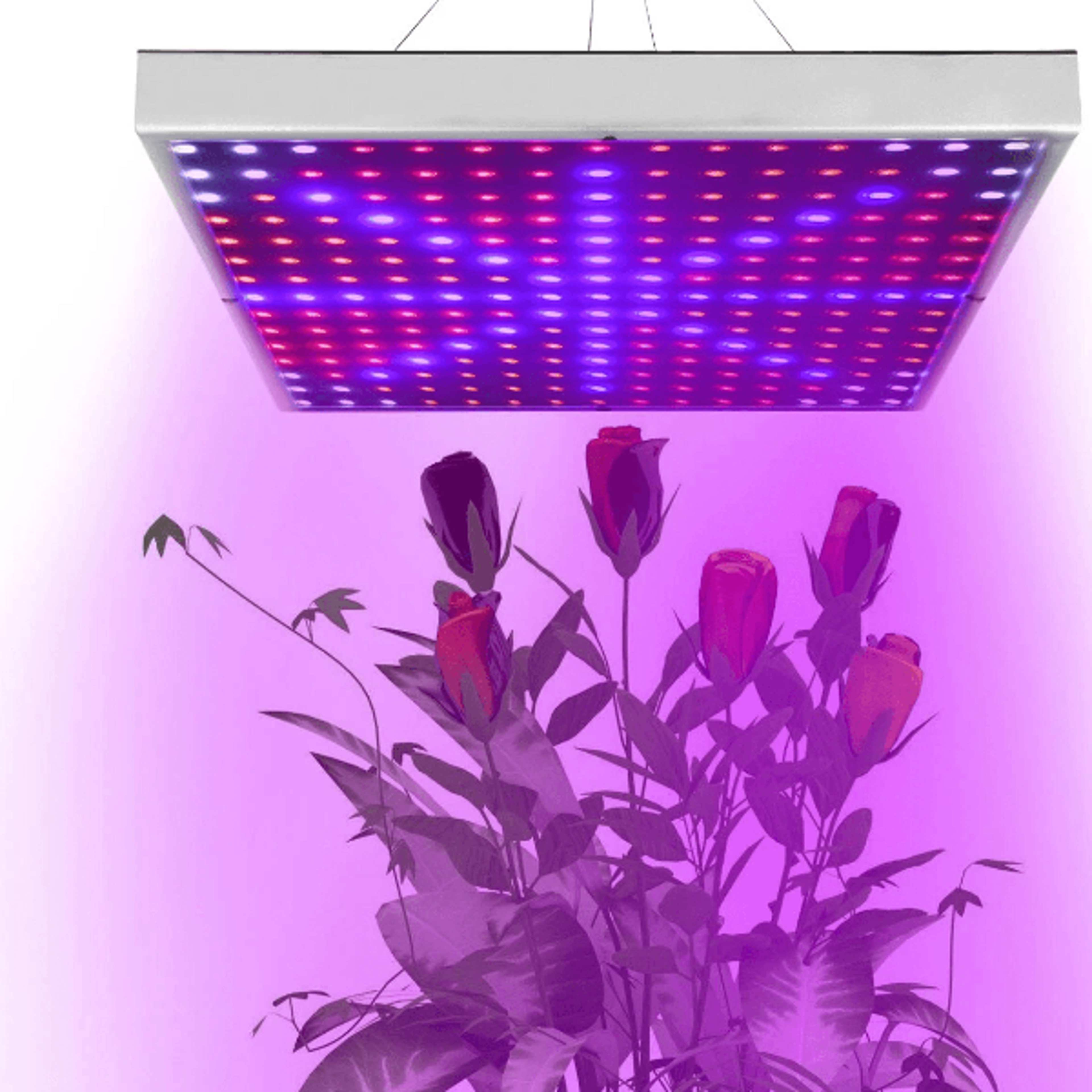 full spectrum led grow light indoor plant growing lamp for hydroponic gardens