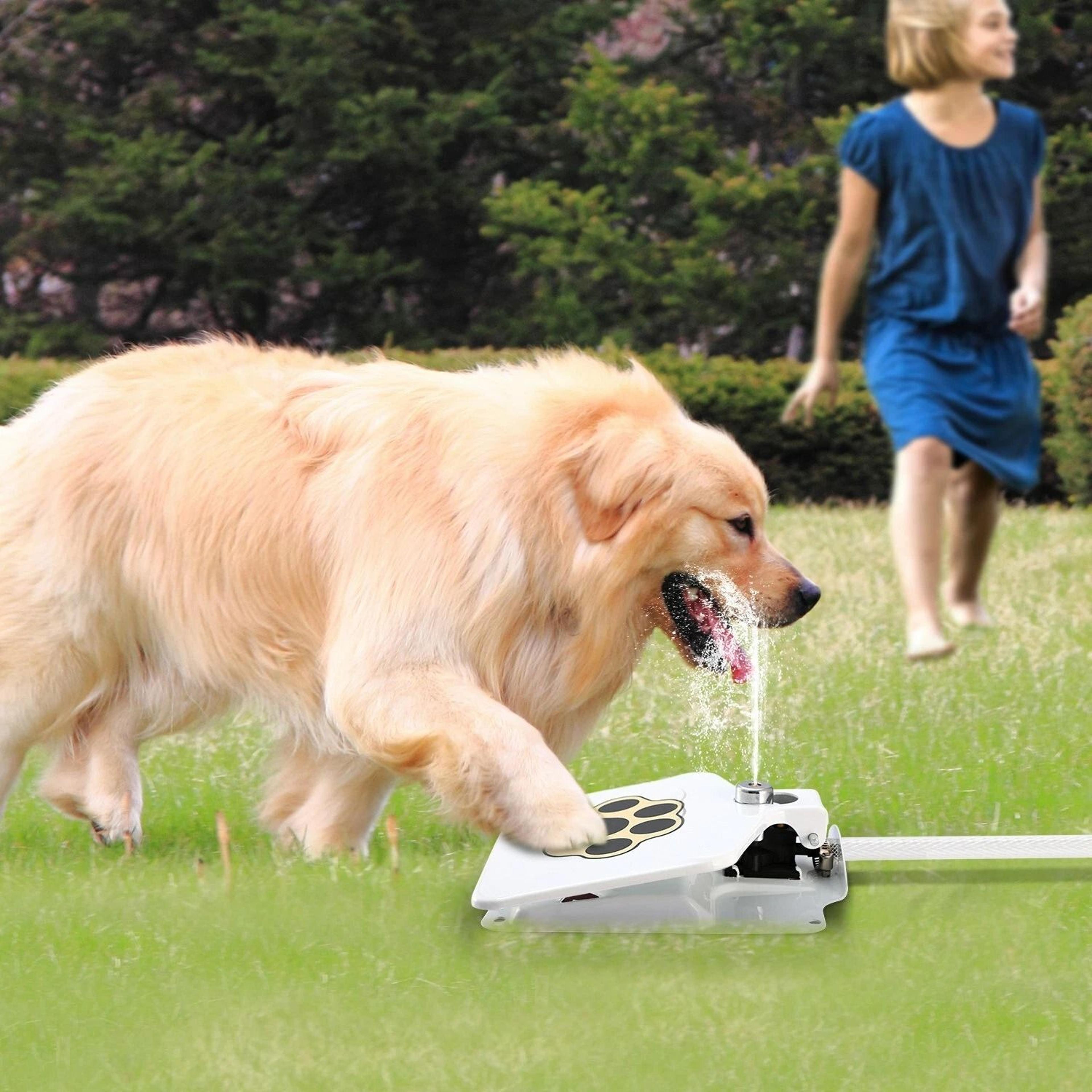 step on dog water fountain outdoor paw activated fresh water dispenser system
