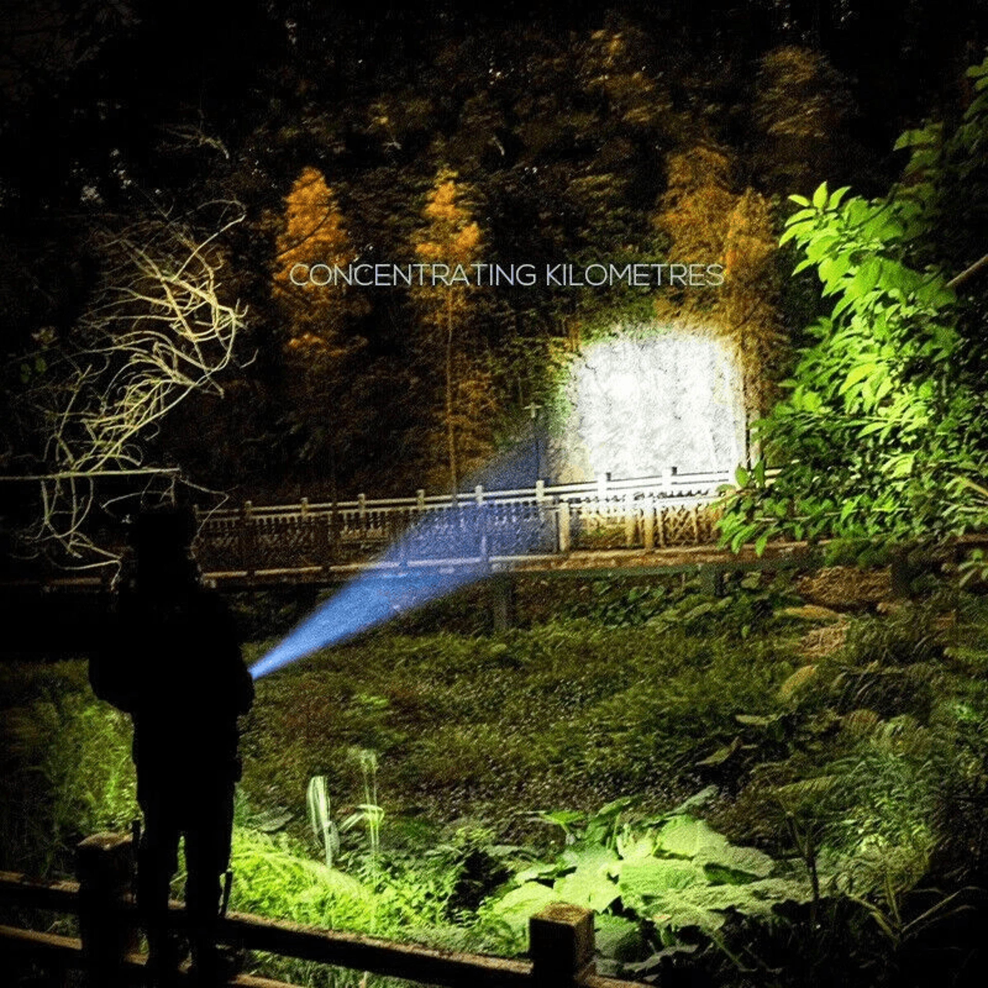 Rechargeable LED Flashlight Tactical Police Torch Super Bright  Zoomable 4