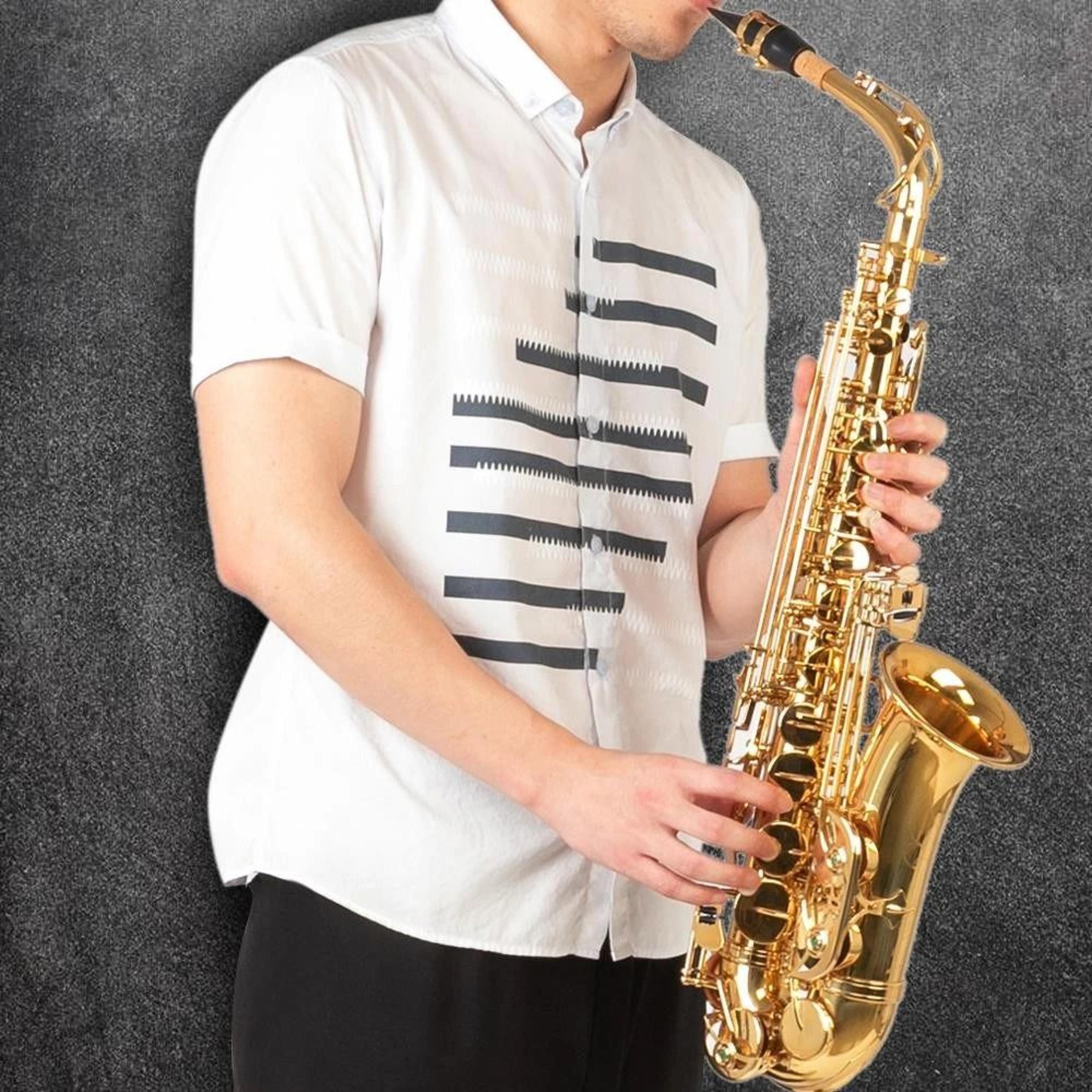 professional eb alto saxophone in gold with case & accessories