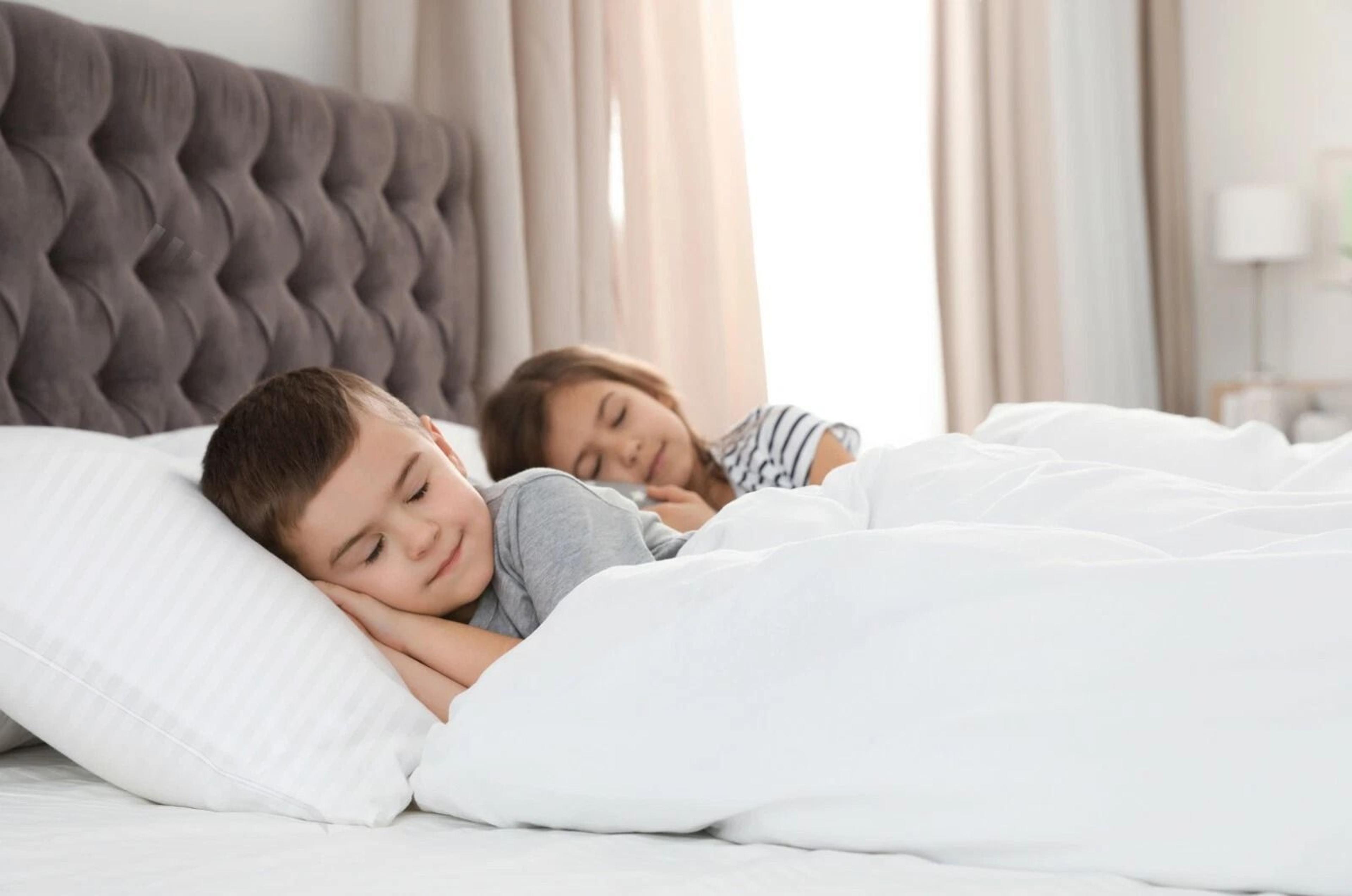 Premium All Season Down Alternative Comforter Ultra Soft Quilted Duvet Insert 2