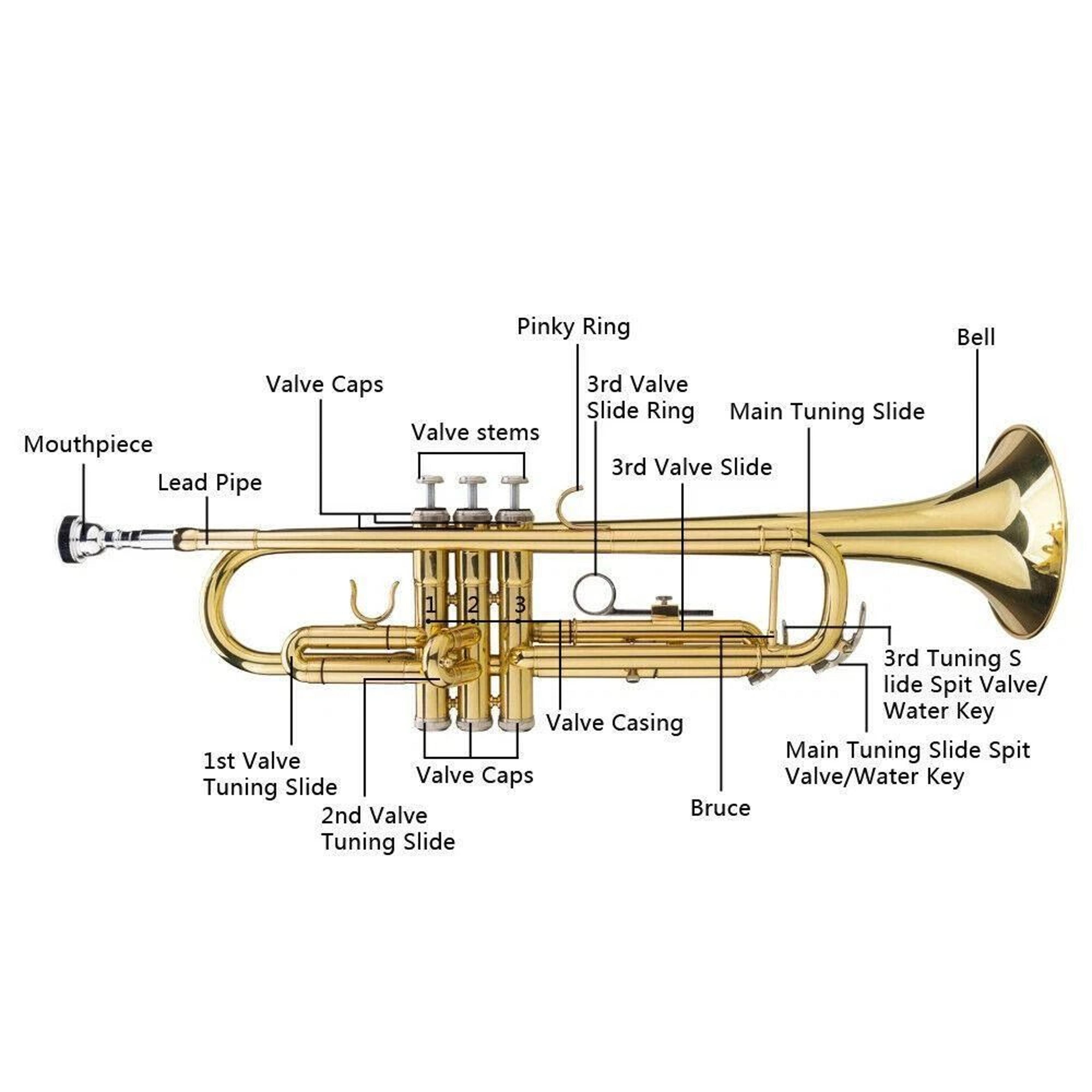 Student Beginner Bb Trumpet Gold Lacquer Brass Instrument With Case For School Band And Music Pract 6