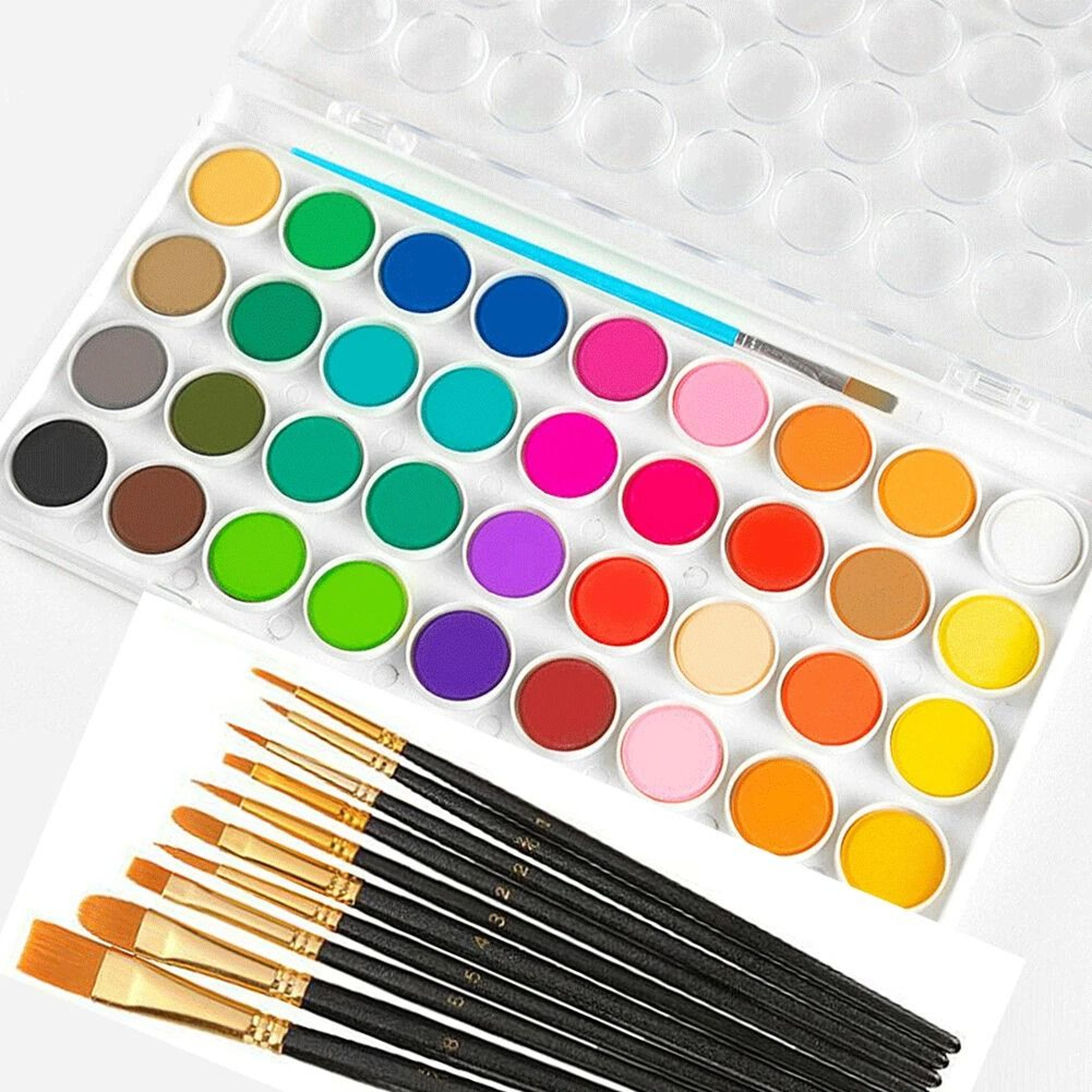 watercolor set & artist paint brushes for beginners