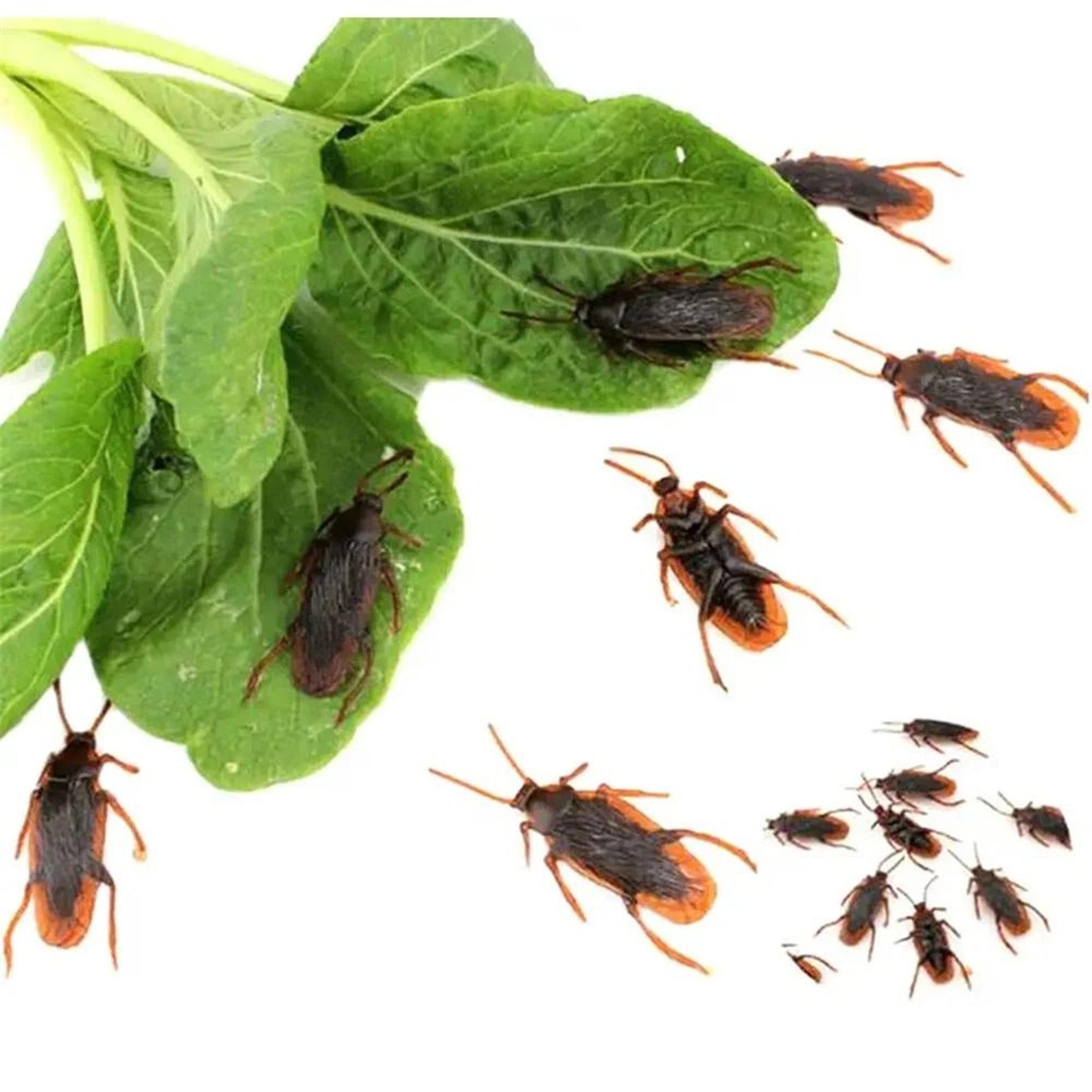 realistic fake prank cockroaches rubber creepy gag toy set