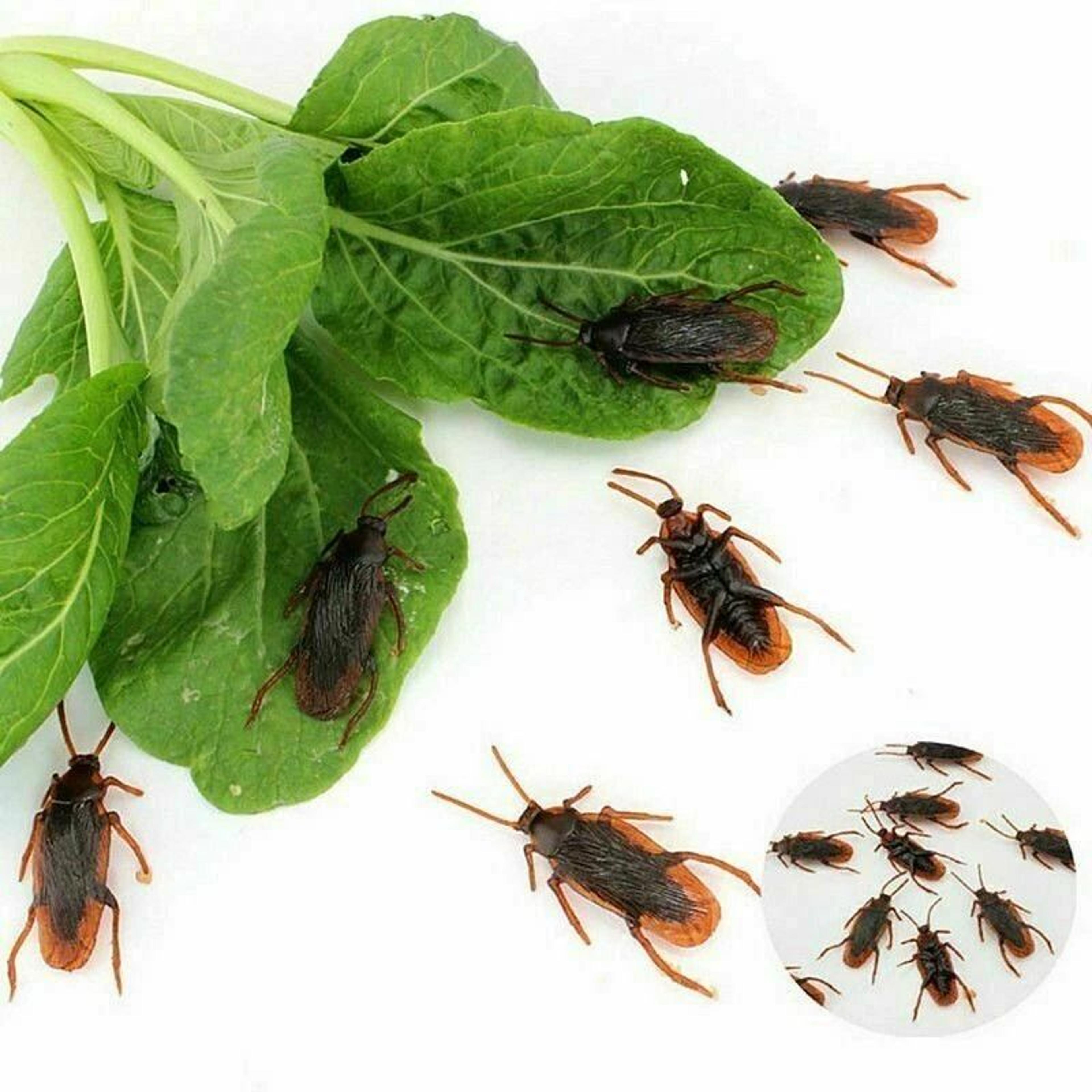 Realistic Rubber Cockroaches Creepy Gag Toy Set For Pranks  Halloween Fun 1