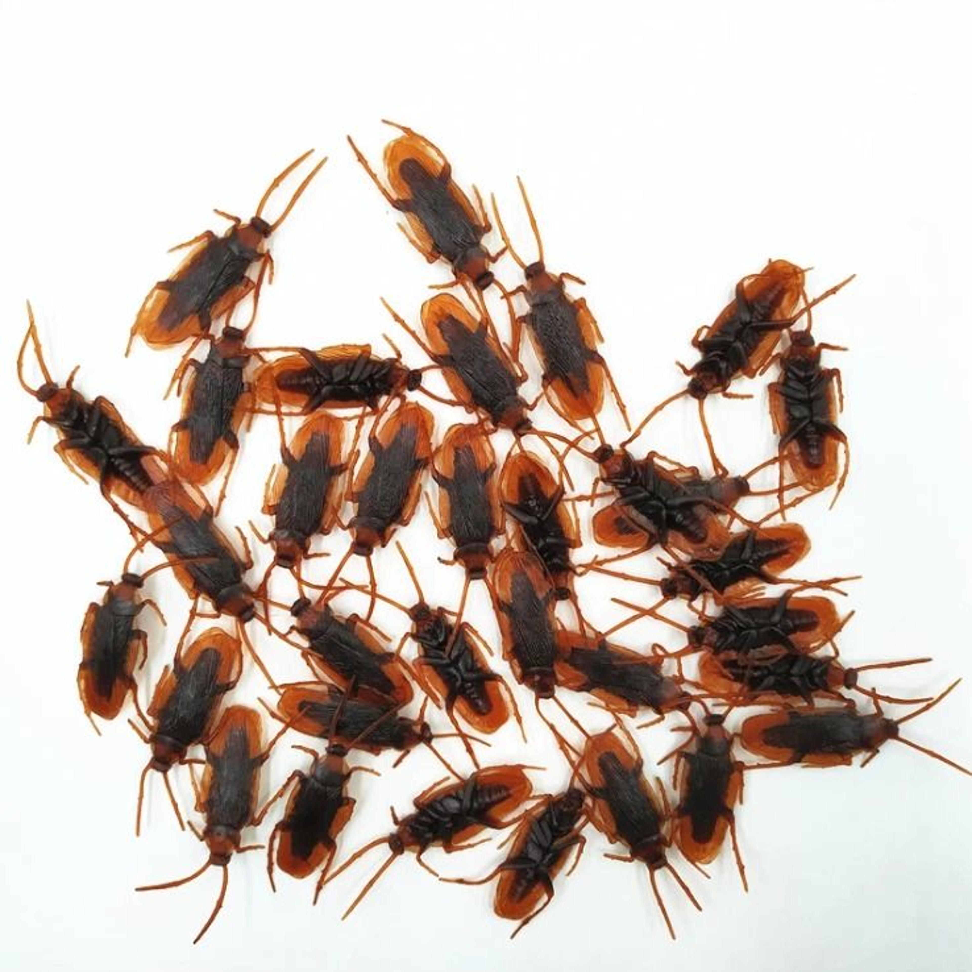 Realistic Rubber Cockroaches Creepy Gag Toy Set For Pranks  Halloween Fun 2