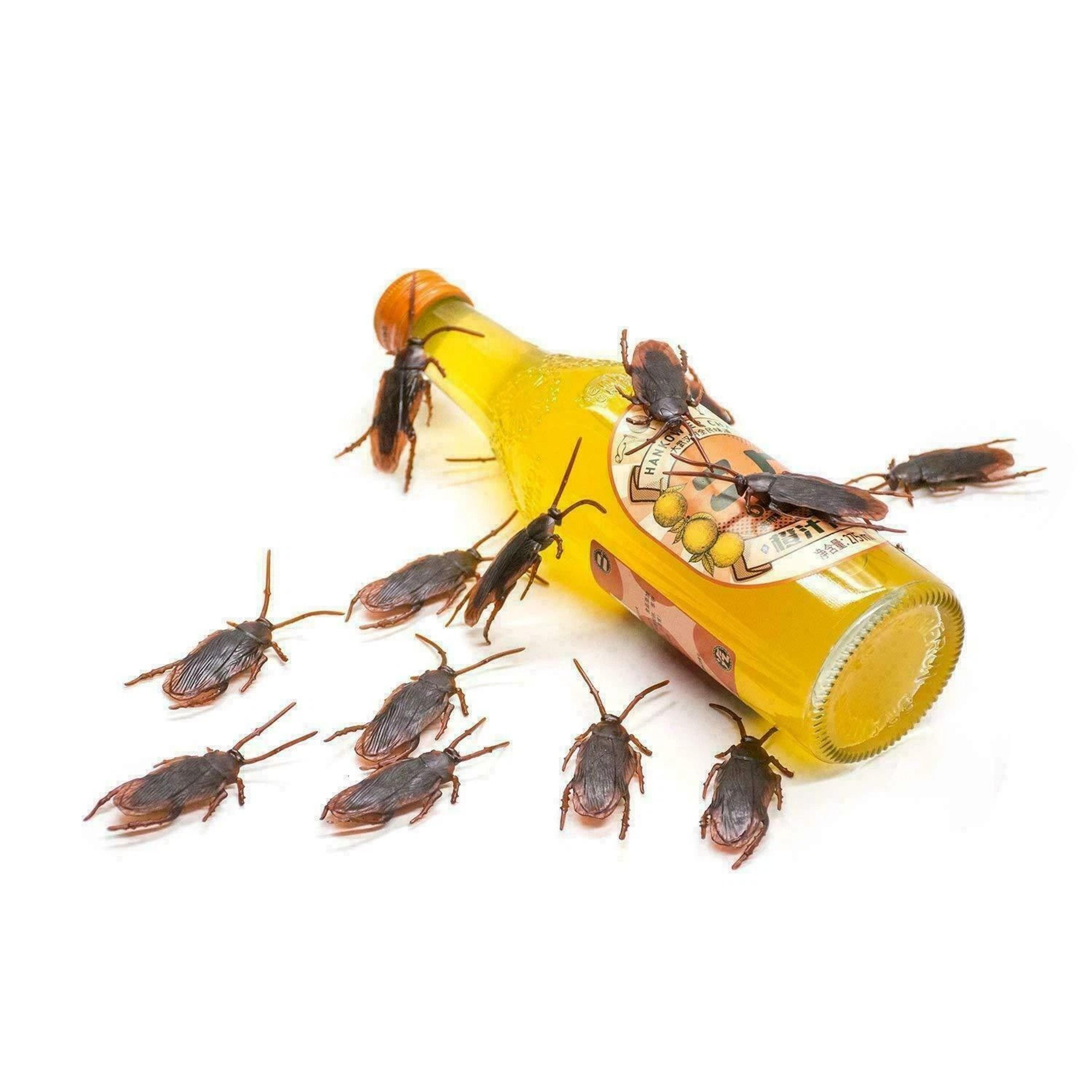 Realistic Rubber Cockroaches Creepy Gag Toy Set For Pranks  Halloween Fun 3