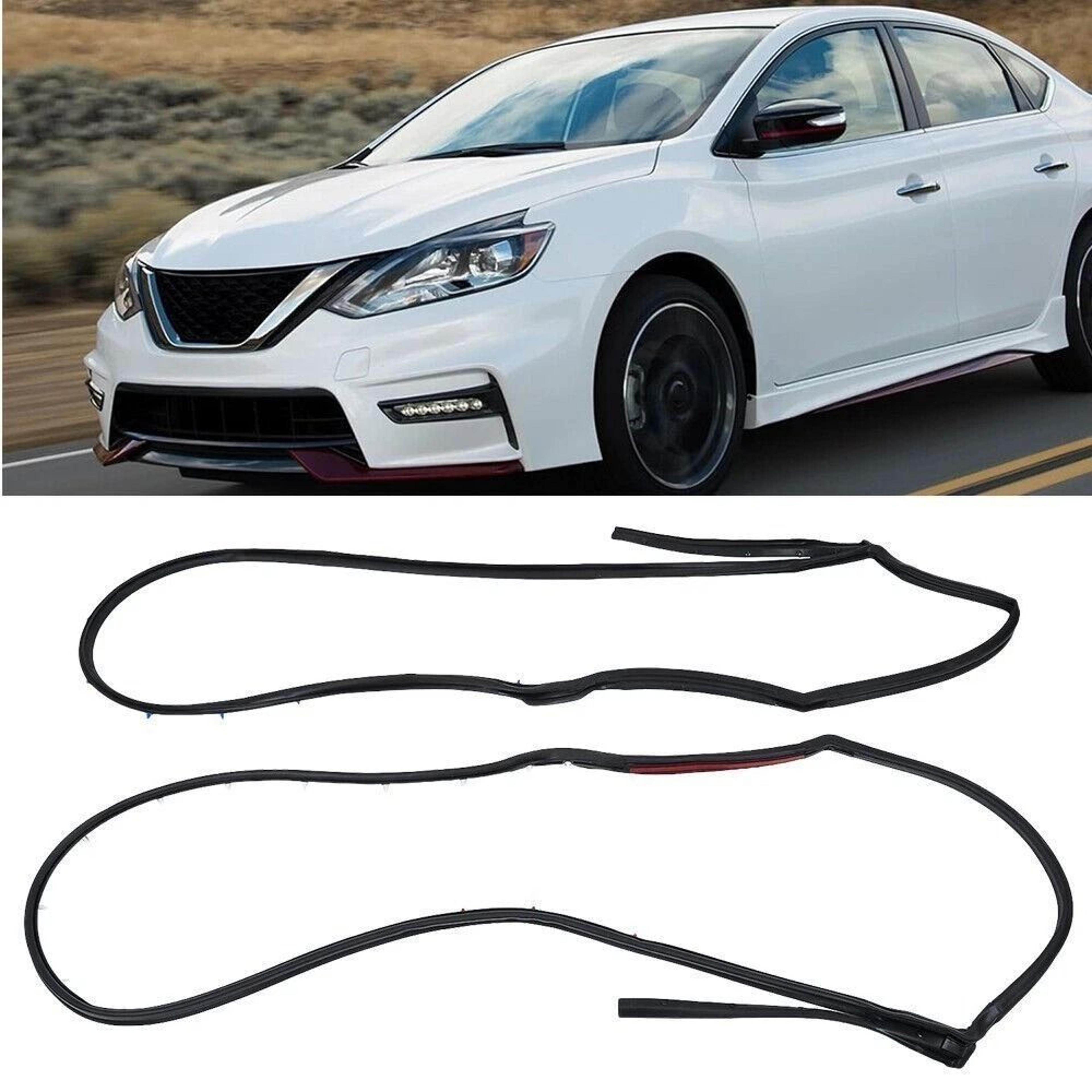 Nissan Sentra Rear Door Weatherstrip Seal Pair Left And Right 12