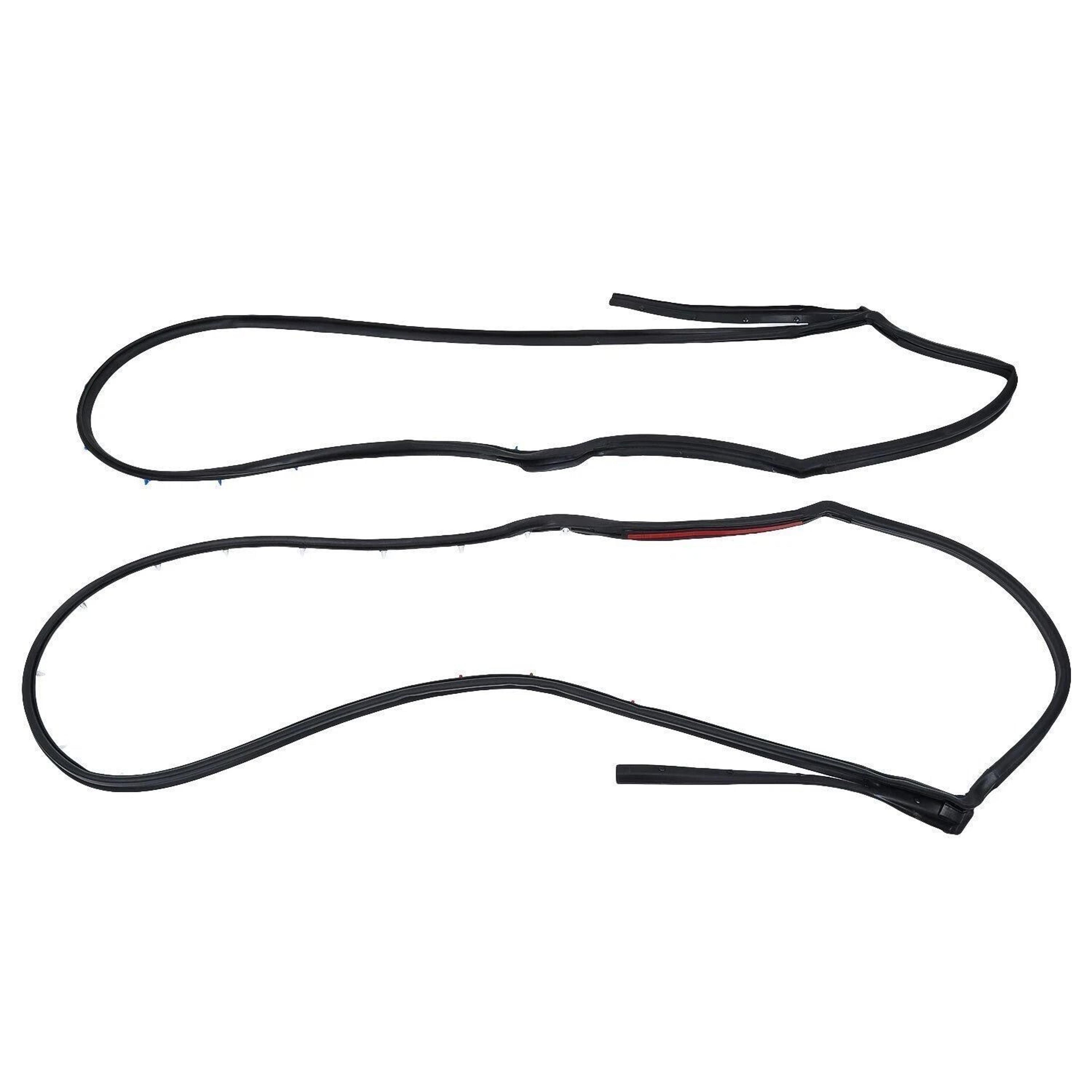 Nissan Sentra Rear Door Weatherstrip Seal Pair Left And Right 3
