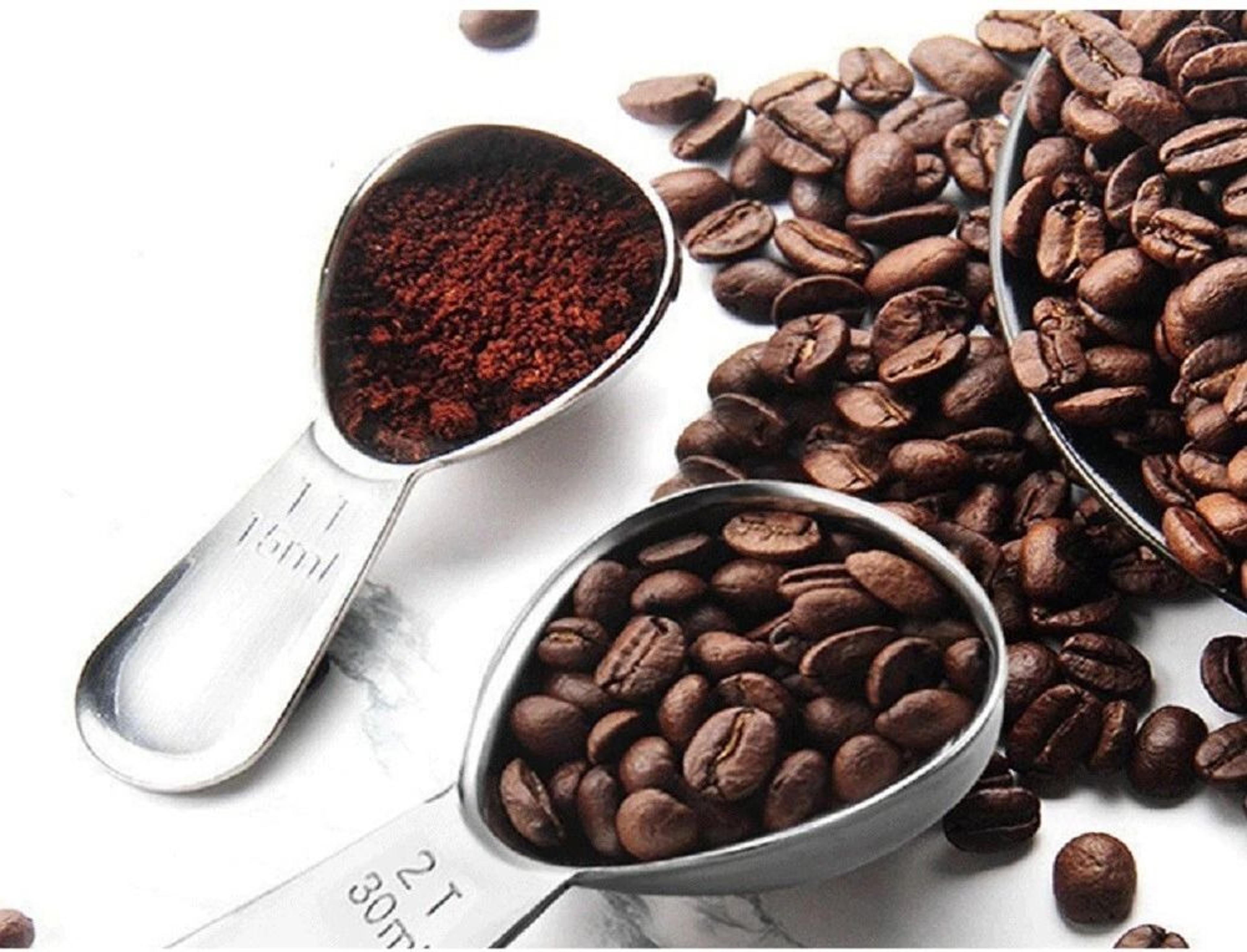 stainless steel coffee measuring scoop set, spoons for accurate brewing