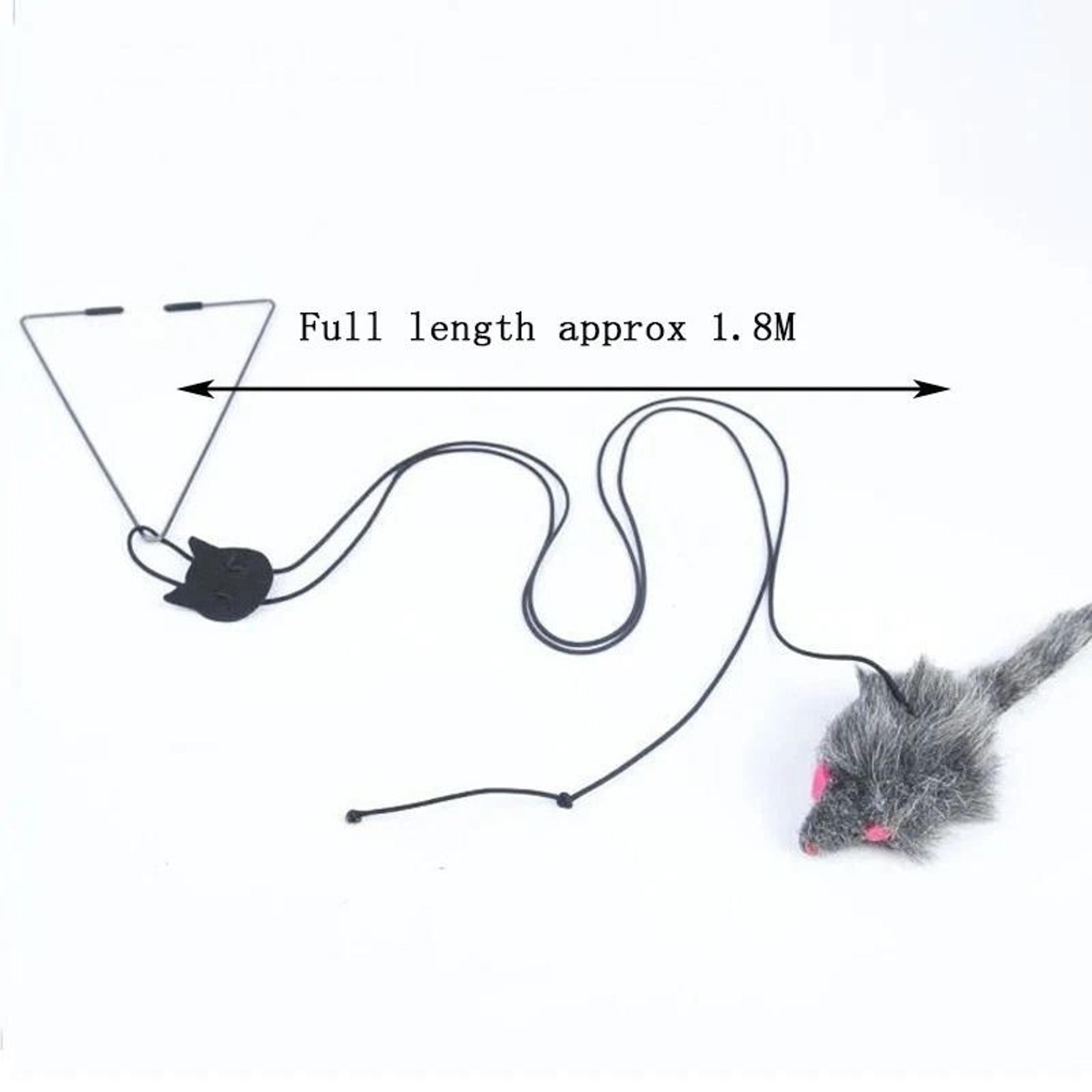 Interactive Door Hanging Cat Toy For Indoor Cats And Kittens 2