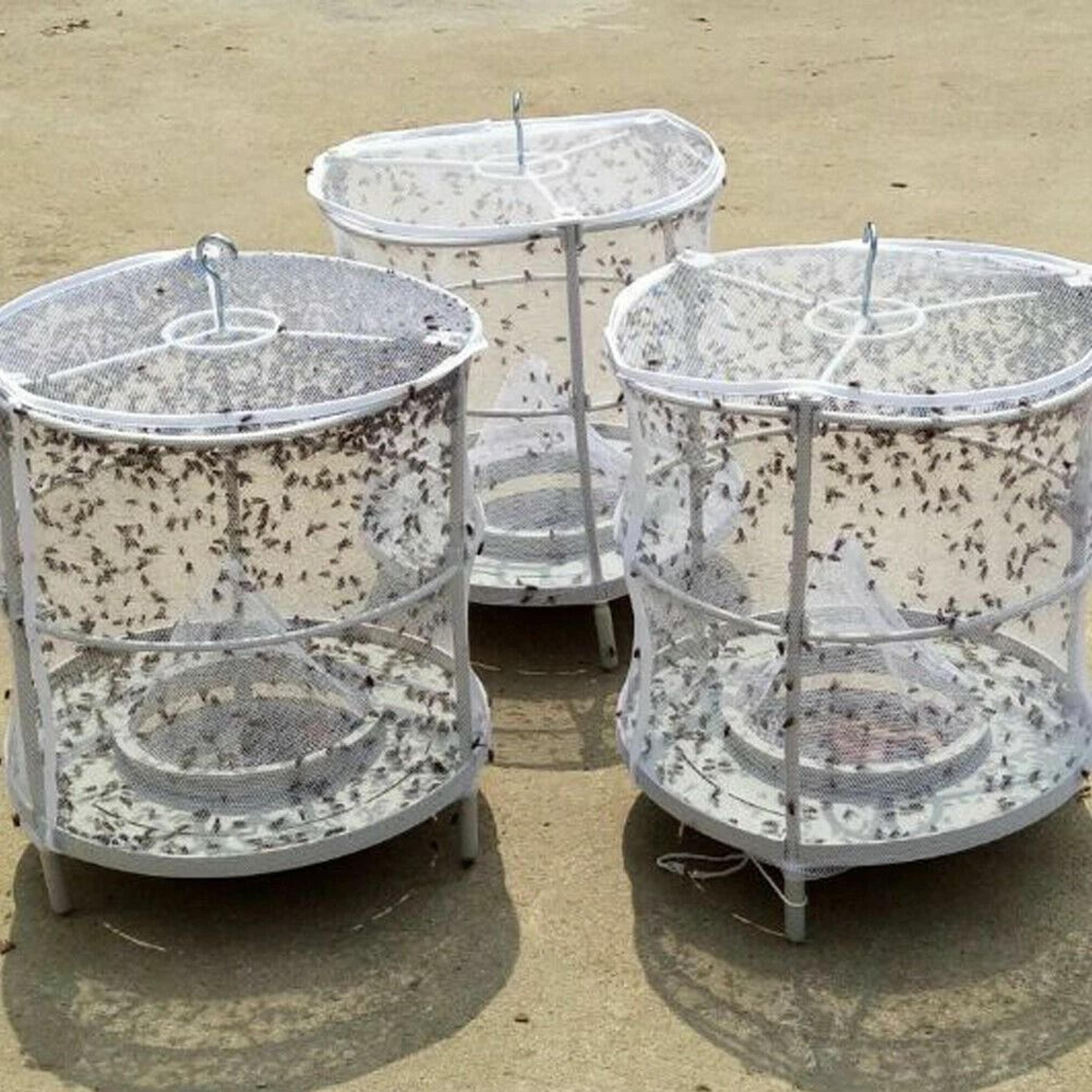 fly trap killer reusable fly catcher cage net for pest bug catching