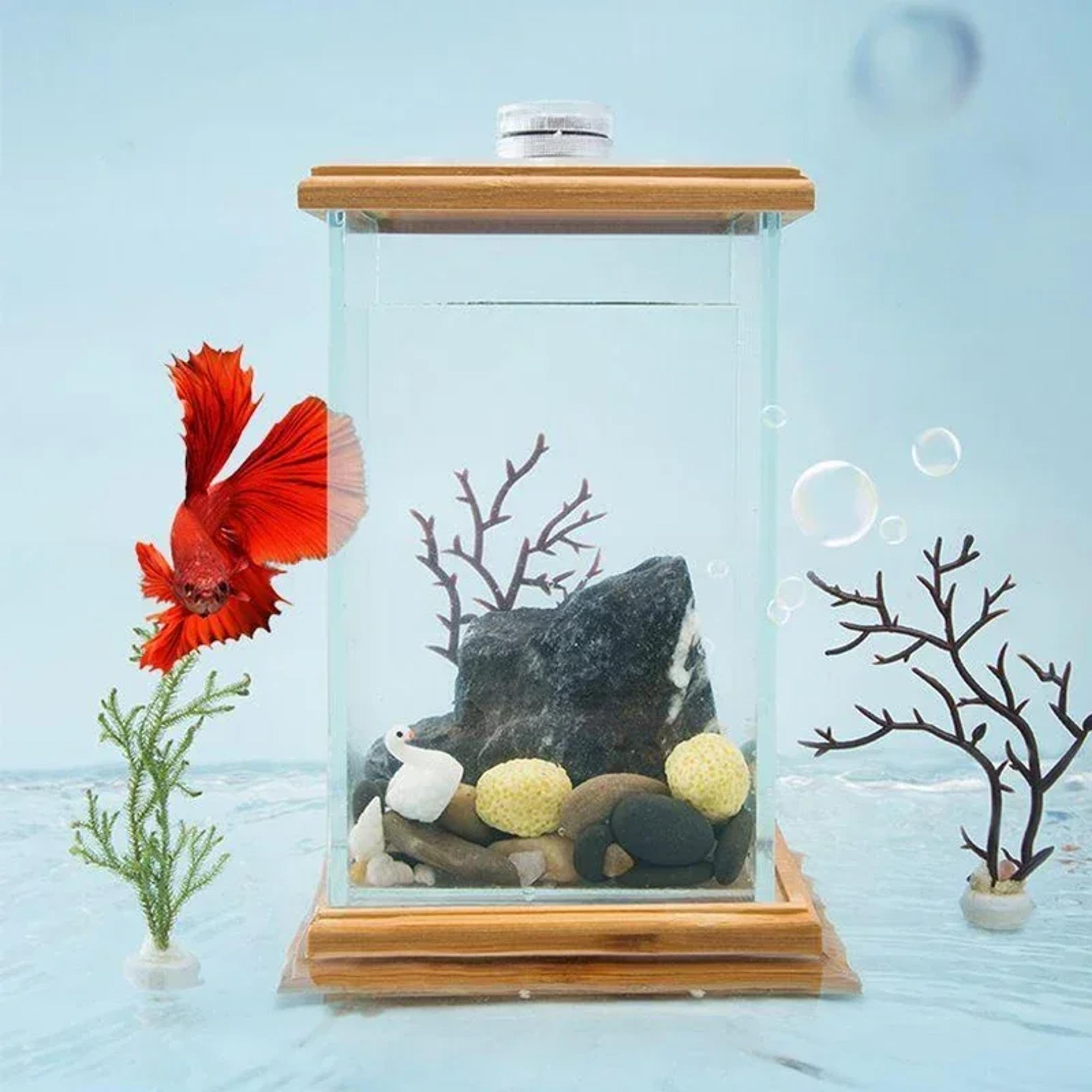 Mini Rotating Aquarium LED Cylindrical Fish Tank Desktop Glass Aquarium Decoration For Office And H 1