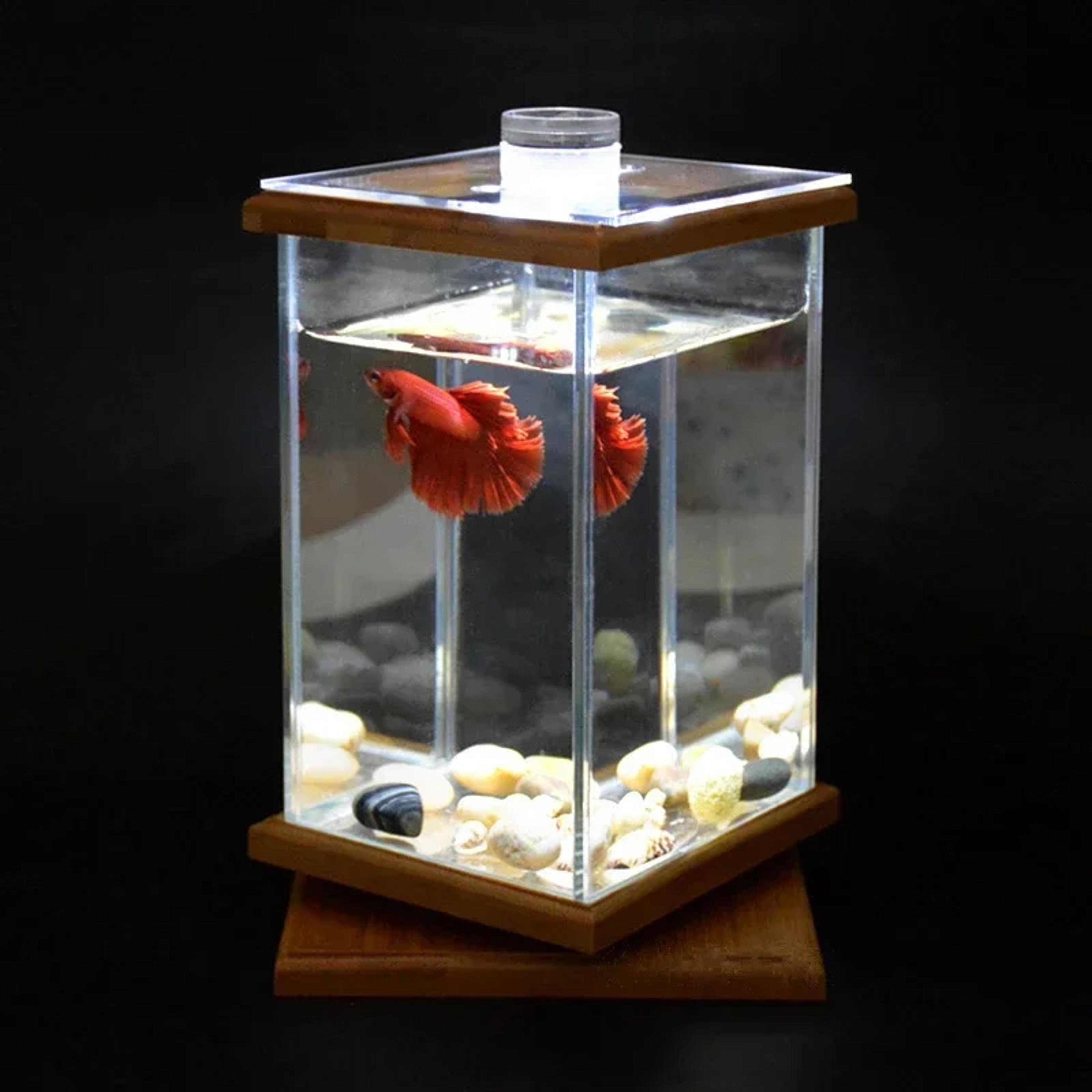 Mini Rotating Aquarium LED Cylindrical Fish Tank Desktop Glass Aquarium Decoration For Office And H 4