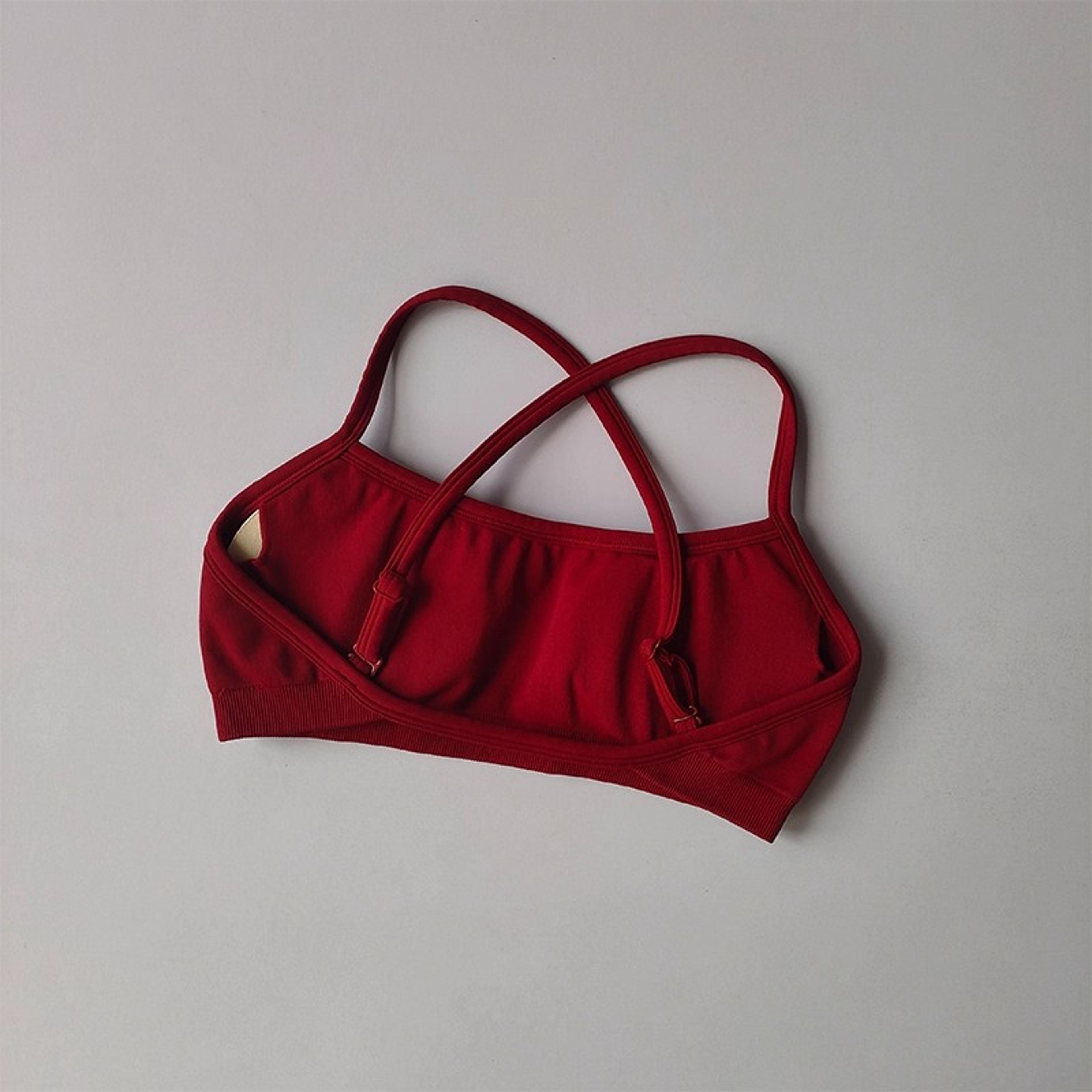 Seamless Shockproof Sports Bra Yoga Crop Top For Women 10