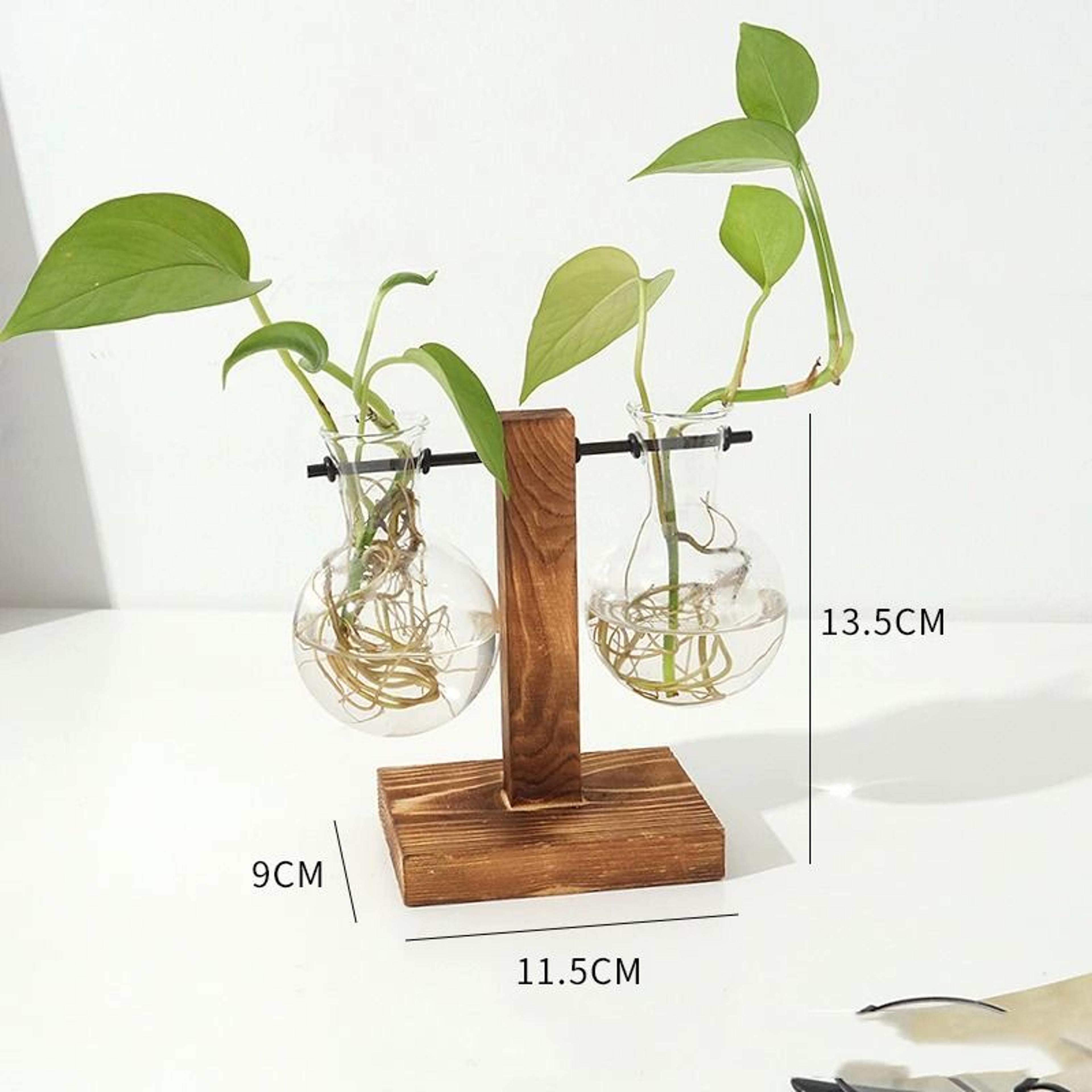 Hydroponic Plant Vase With Wooden Stand 11