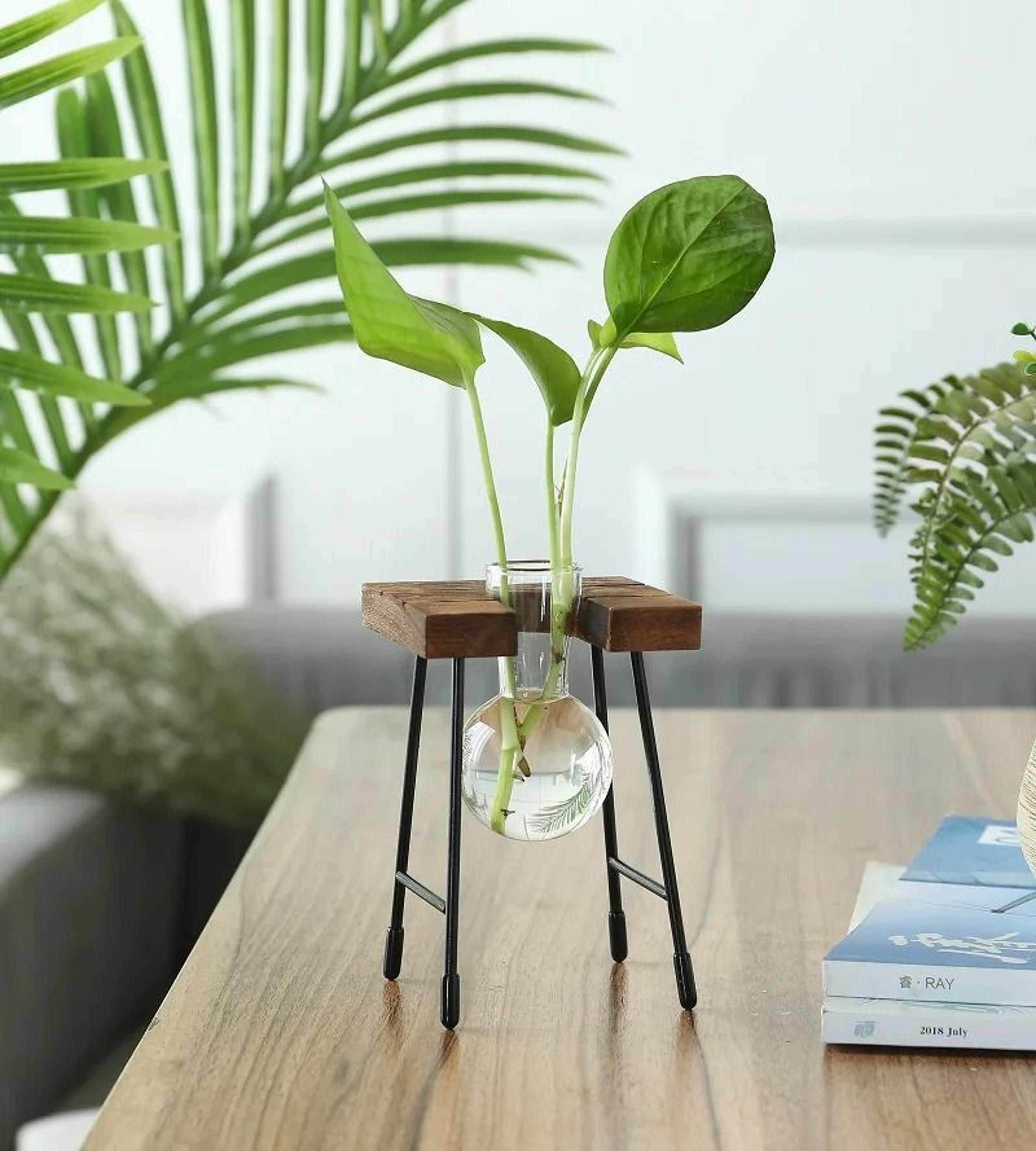 Hydroponic Plant Vase With Wooden Stand 13