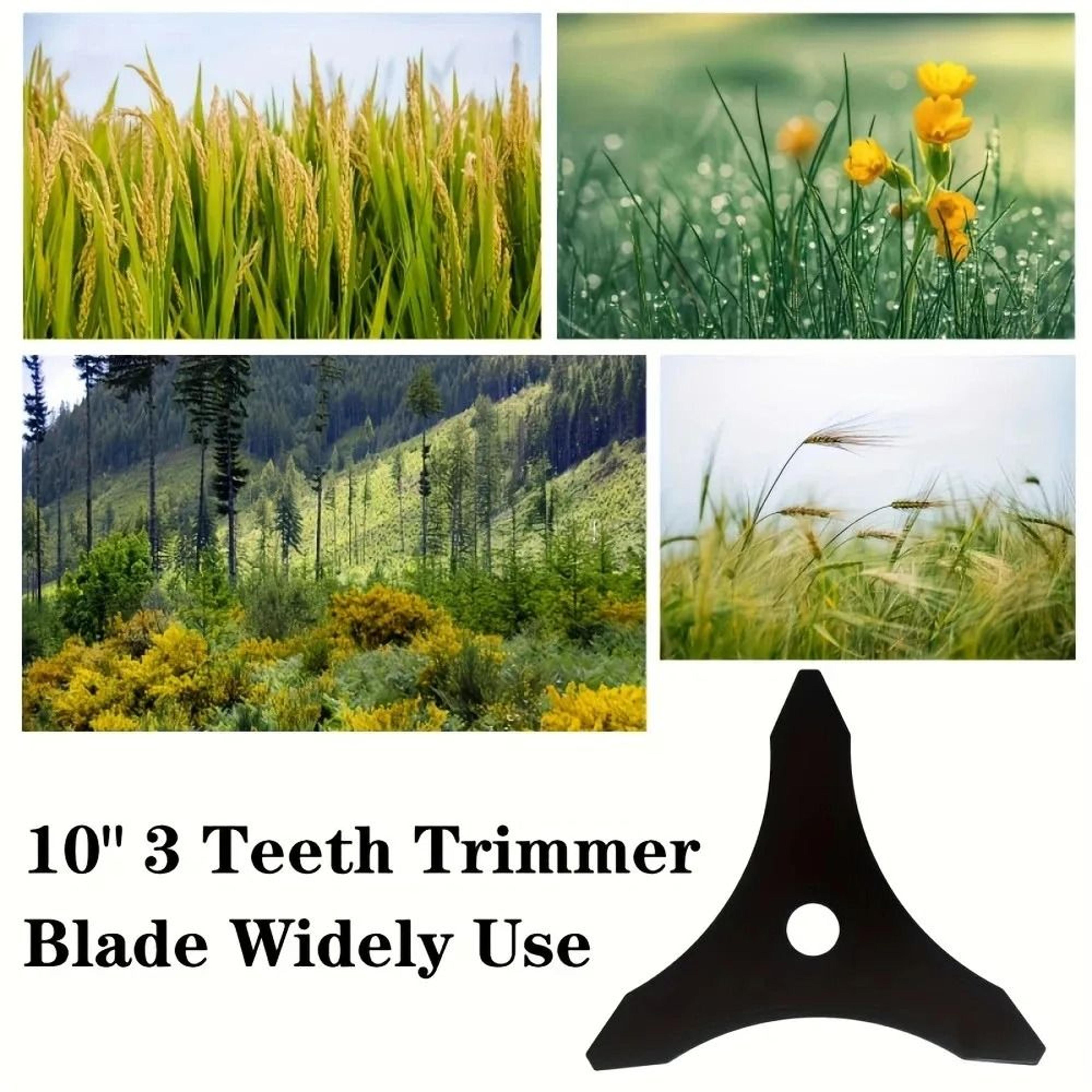 Three Tooth Brush Cutter Blade Ten Inch Replacement For Straight Shaft Trimmers 2