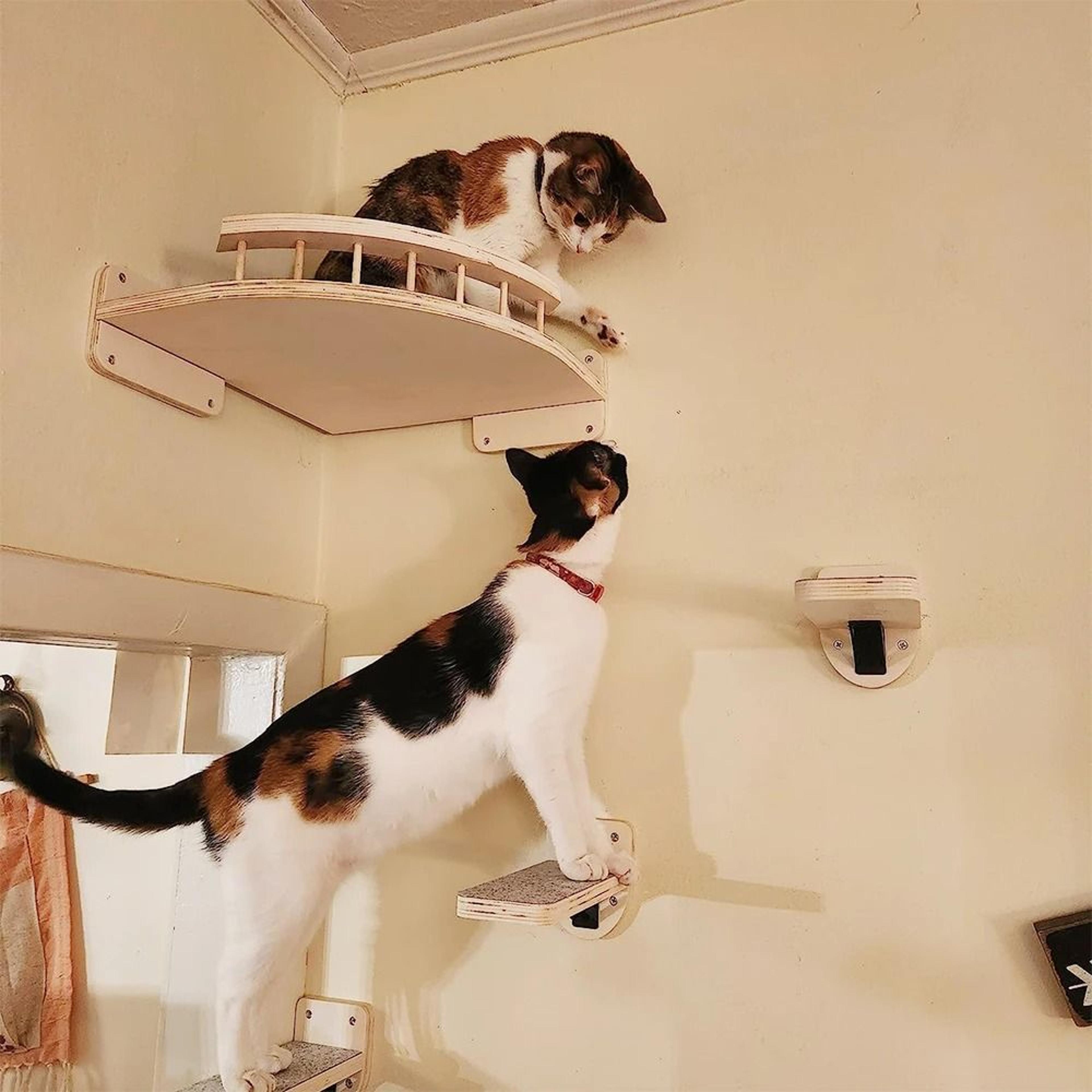 Wall Mounted Cat Climbing Shelf With Sisal Scratching Steps 5