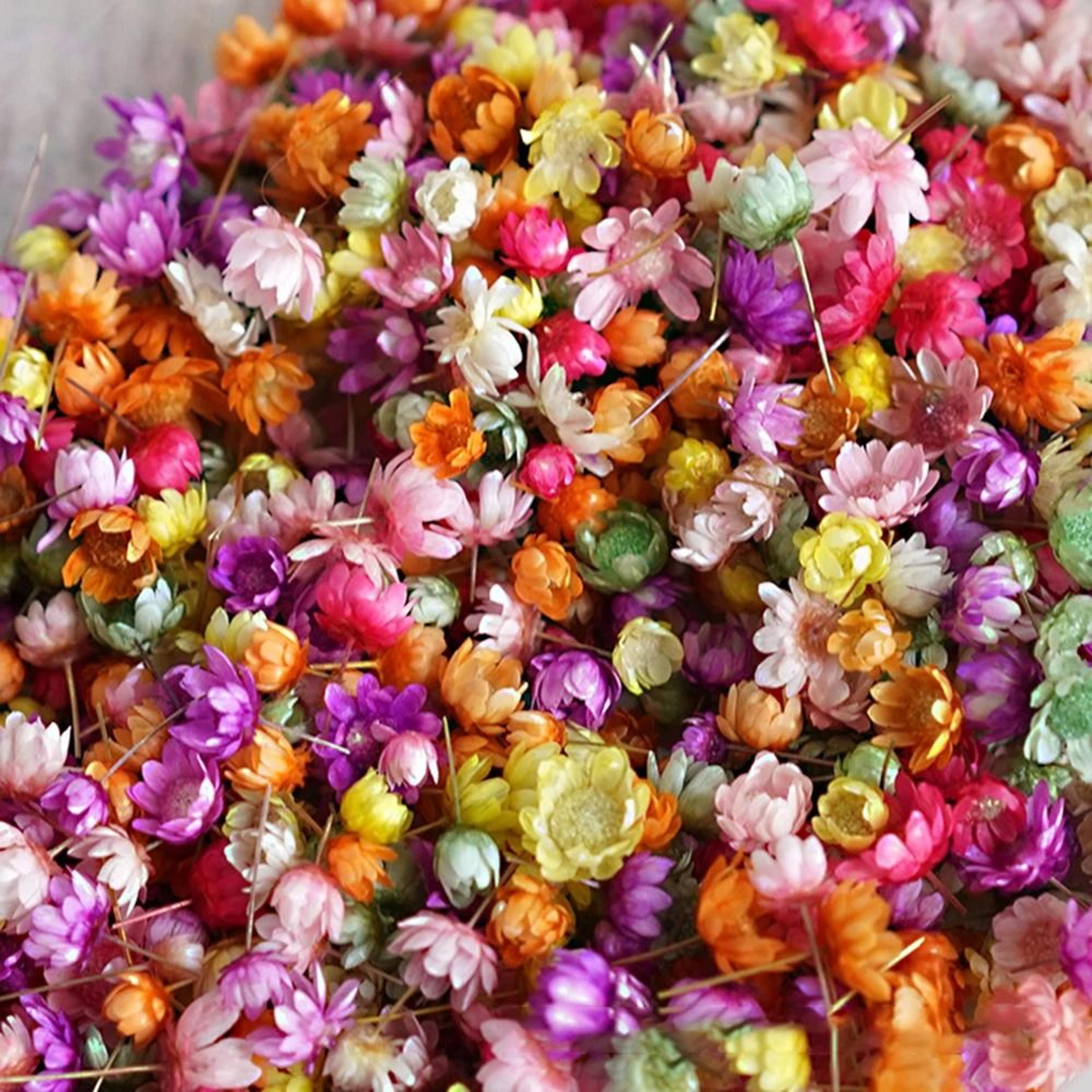 mini dried look artificial flower heads for diy crafts resin jewelry candle decor 140 or 280 pieces