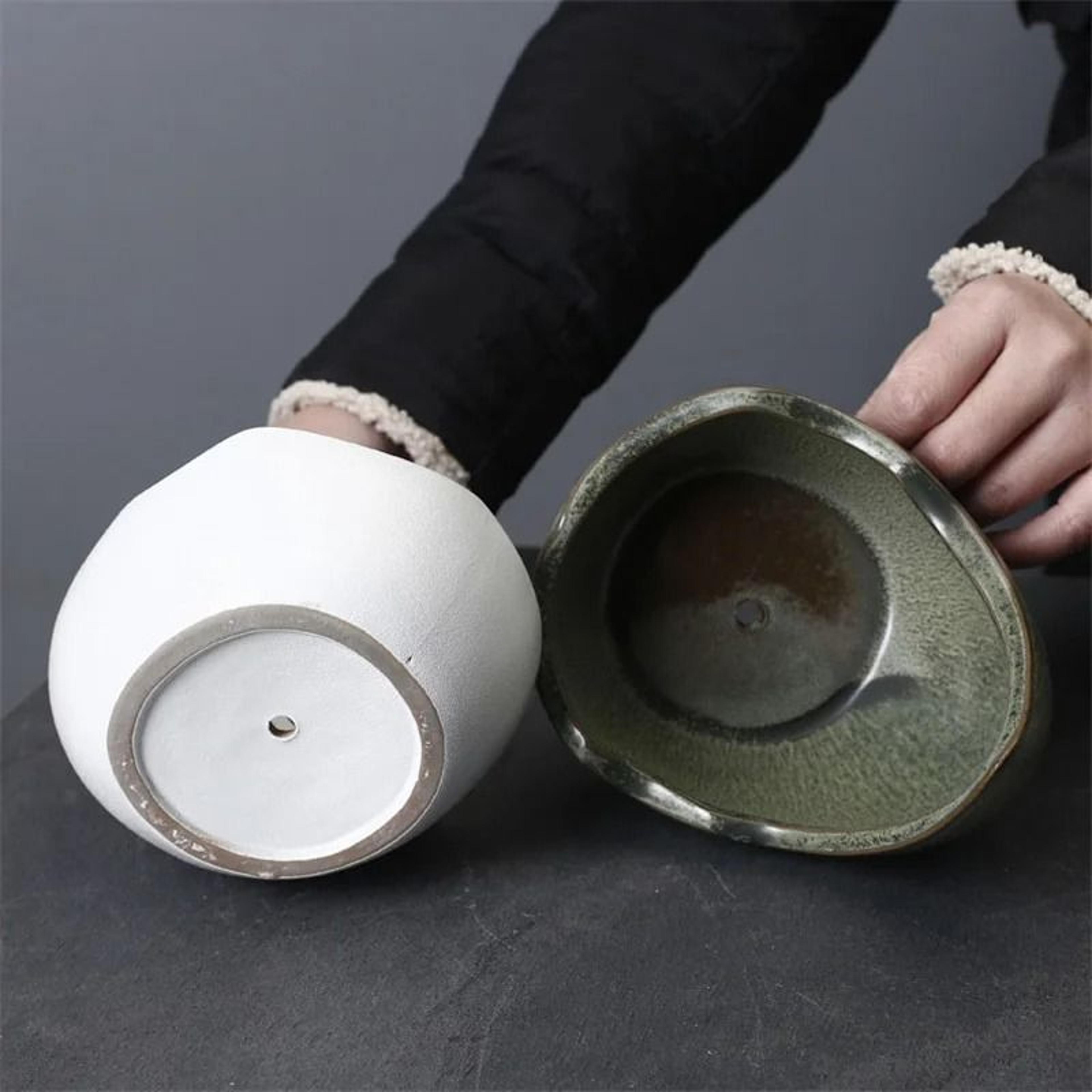 Rhinoceros Horn Ceramic Flower Pot Modern Succulent Planter Home Decoration 2
