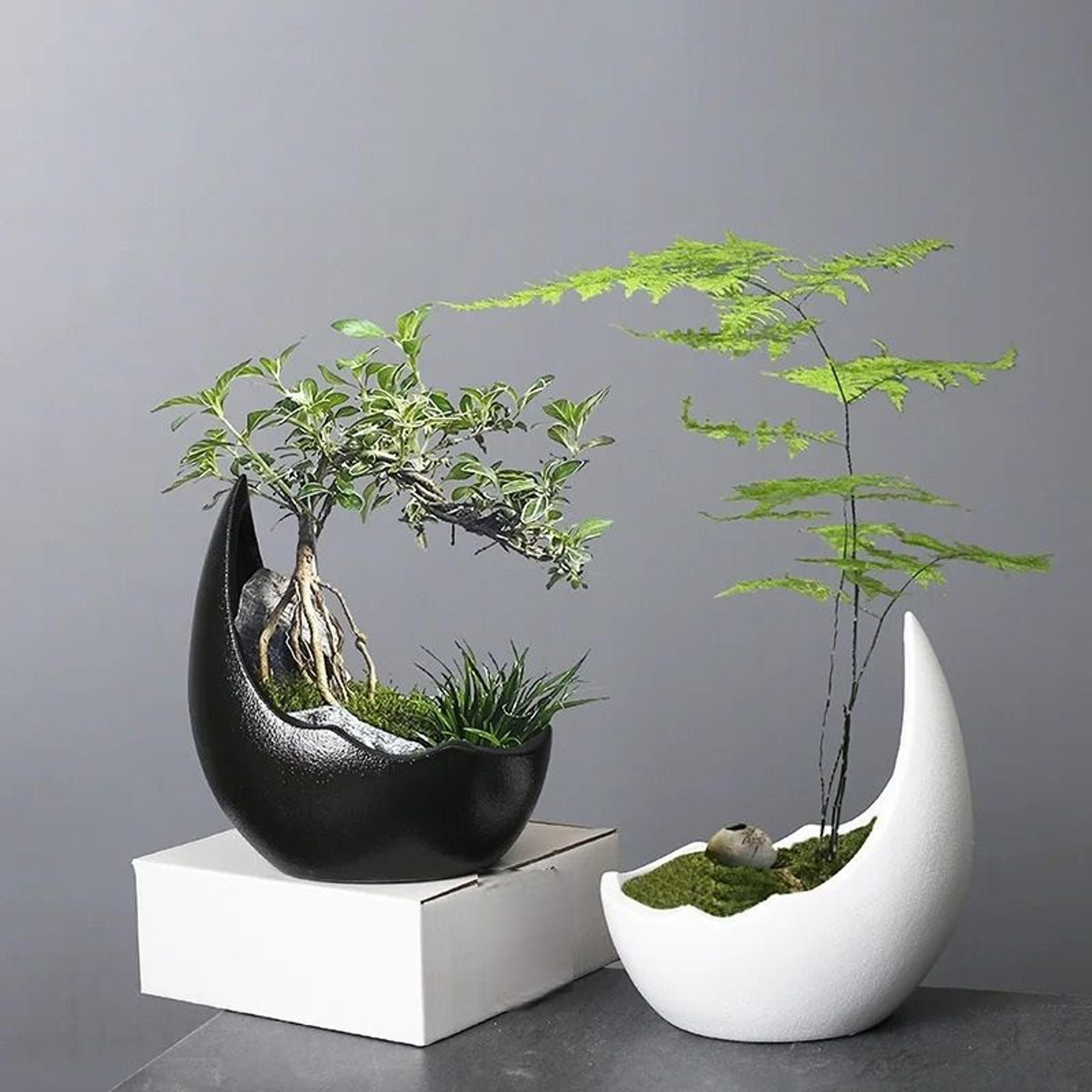 Rhinoceros Horn Ceramic Flower Pot Modern Succulent Planter Home Decoration 3