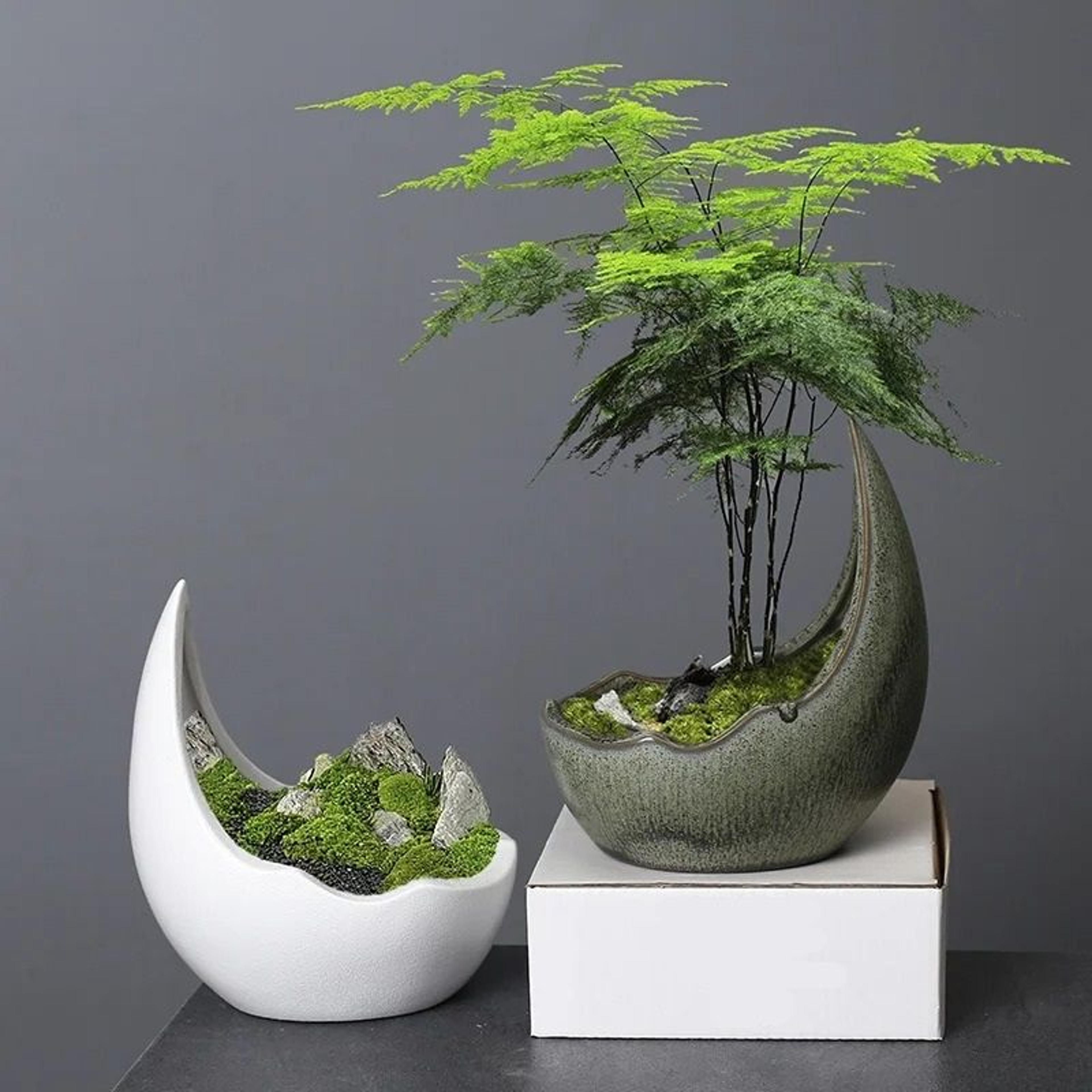 Rhinoceros Horn Ceramic Flower Pot Modern Succulent Planter Home Decoration 4