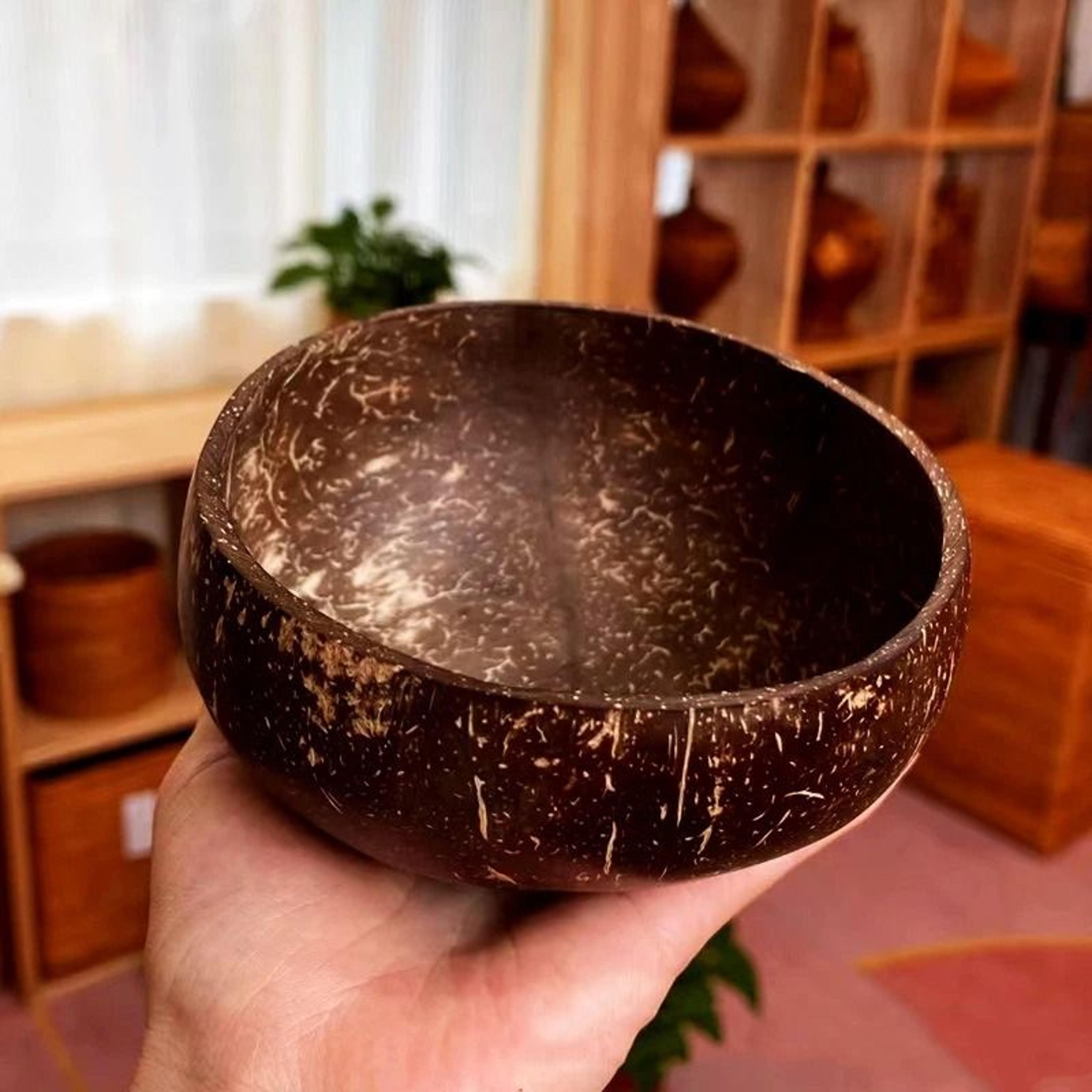 Natural Coconut Bowl Set  Handcrafted EcoFriendly Tableware  Spoon Set 2