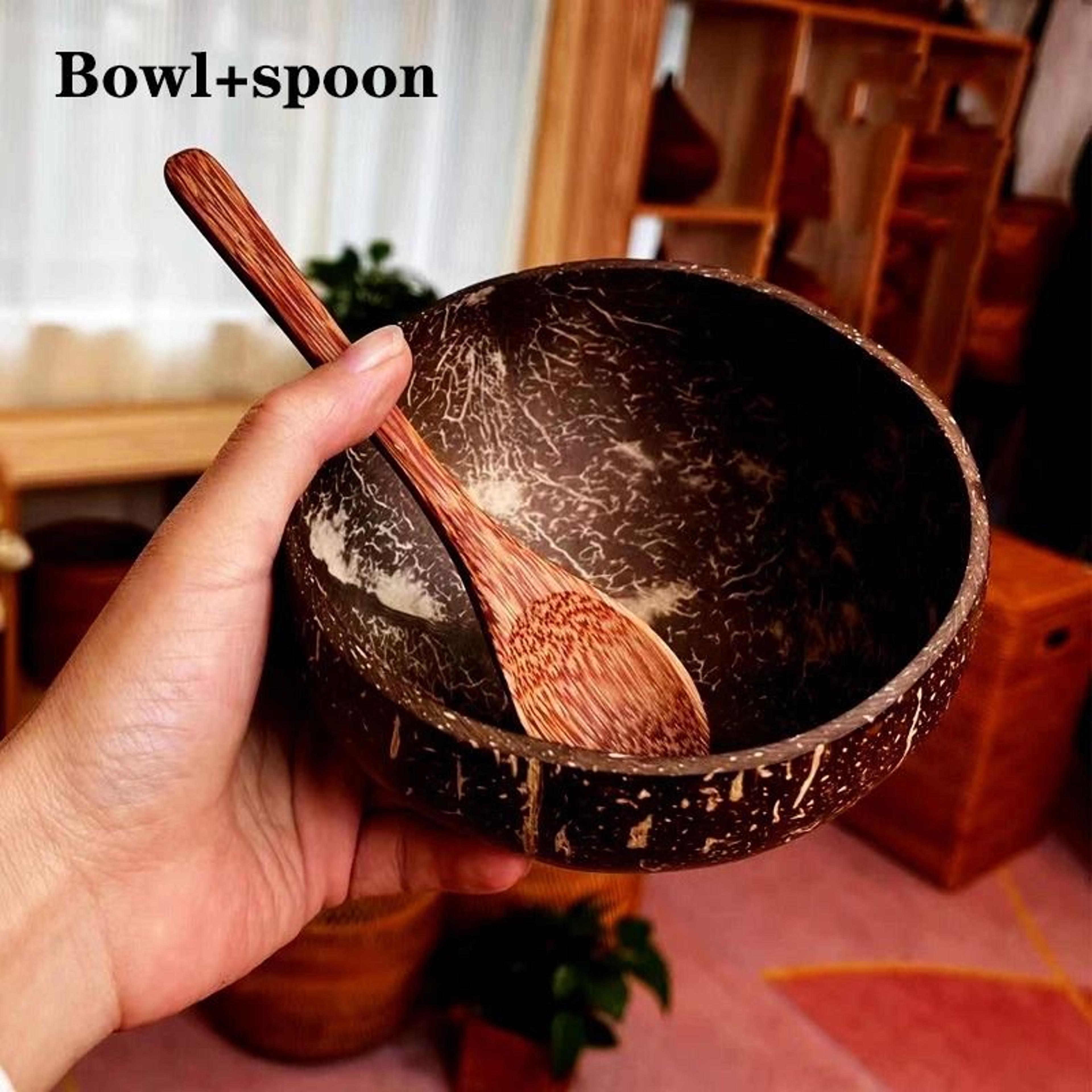 Natural Coconut Bowl Set  Handcrafted EcoFriendly Tableware  Spoon Set 7