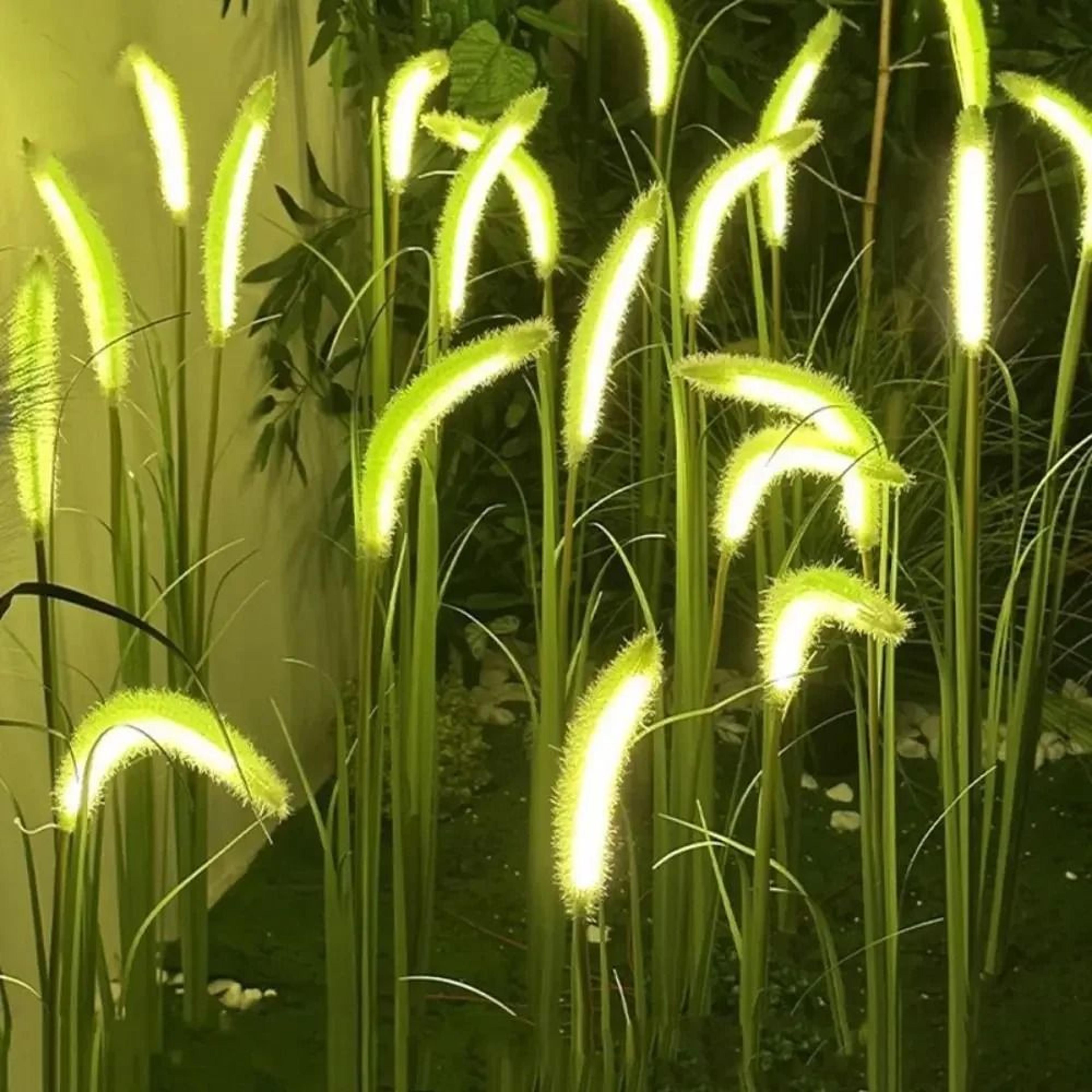 Solar Dog Tail Grass Garden Lights 1
